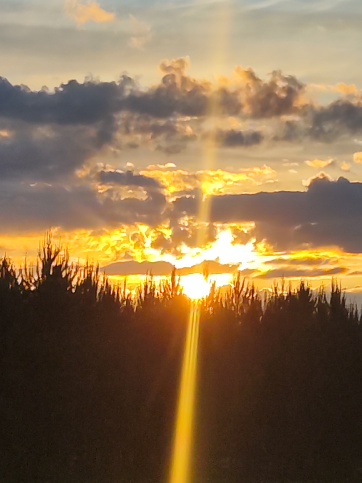 A vibrant sunset scene, likely near or around the city of Chaikovsky, Russia, considering the prompt. The sky displays a mix of colors, with the sun obscured behind clouds. Light rays emanate from the sun, creating a vertical beam of light. Dark silhouettes of trees or vegetation fill the foreground. The clouds have patches of gray and gold where the sun is hitting them.