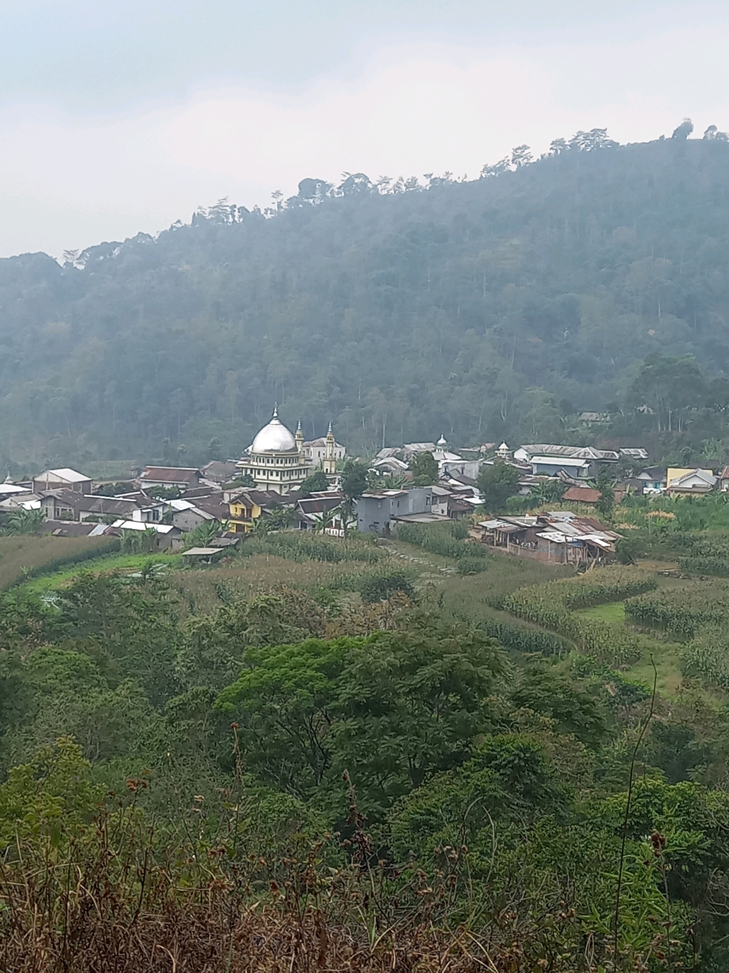A high-angle, vertical medium shot captures a village nestled at the base of a densely forested mountain range. The sky is overcast with a light haze, contributing to a soft, diffused light across the scene. In the mid-ground, a cluster of buildings forms the village. A prominent structure with a silver dome and smaller white domes, likely a mosque, stands out amongst the other buildings. The structures are a mix of residential and possibly commercial buildings with varied roof types, including corrugated metal and what appear to be tile roofs. Some buildings are painted white or yellow, while others are left with exposed brick or weathered exteriors. The village is surrounded by agricultural fields, with rows of crops, possibly corn or other vegetables, visible in terraced patterns. Lush green trees and foliage dominate the landscape, especially on the slopes of the mountain that rises behind the village. In the foreground, dry, brown vegetation and thinner branches create a textural foreground, obscuring some of the lower part of the village and fields. No people are visible in the frame, and the overall atmosphere is one of quiet rural life. The location is identified as Blumah, Indonesia, suggesting a tropical or subtropical climate with ample vegetation.