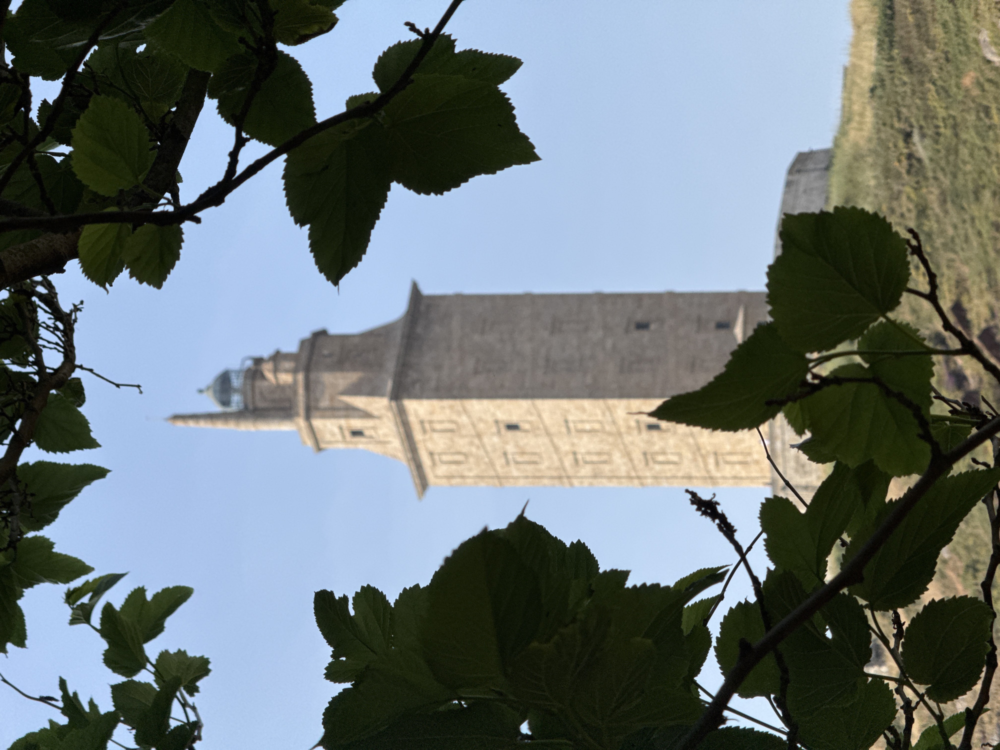 The image captures a view of the Tower of Hercules, a Roman lighthouse and UNESCO World Heritage site, situated in the city of A Coruña, Spain. The tower is a tall, stone structure with a distinctive tapered shape and multiple levels marked by small, rectangular windows. It is topped with a lantern room. The lighthouse stands on a grassy hill, with a low, circular stone wall visible at its base. In the foreground, out of focus, are the branches and dark green leaves of a tree, framing the view of the tower against a clear, light blue sky. The lighting suggests it is daytime, likely morning or late afternoon, with soft sunlight illuminating the scene. There are no people visible in the image.