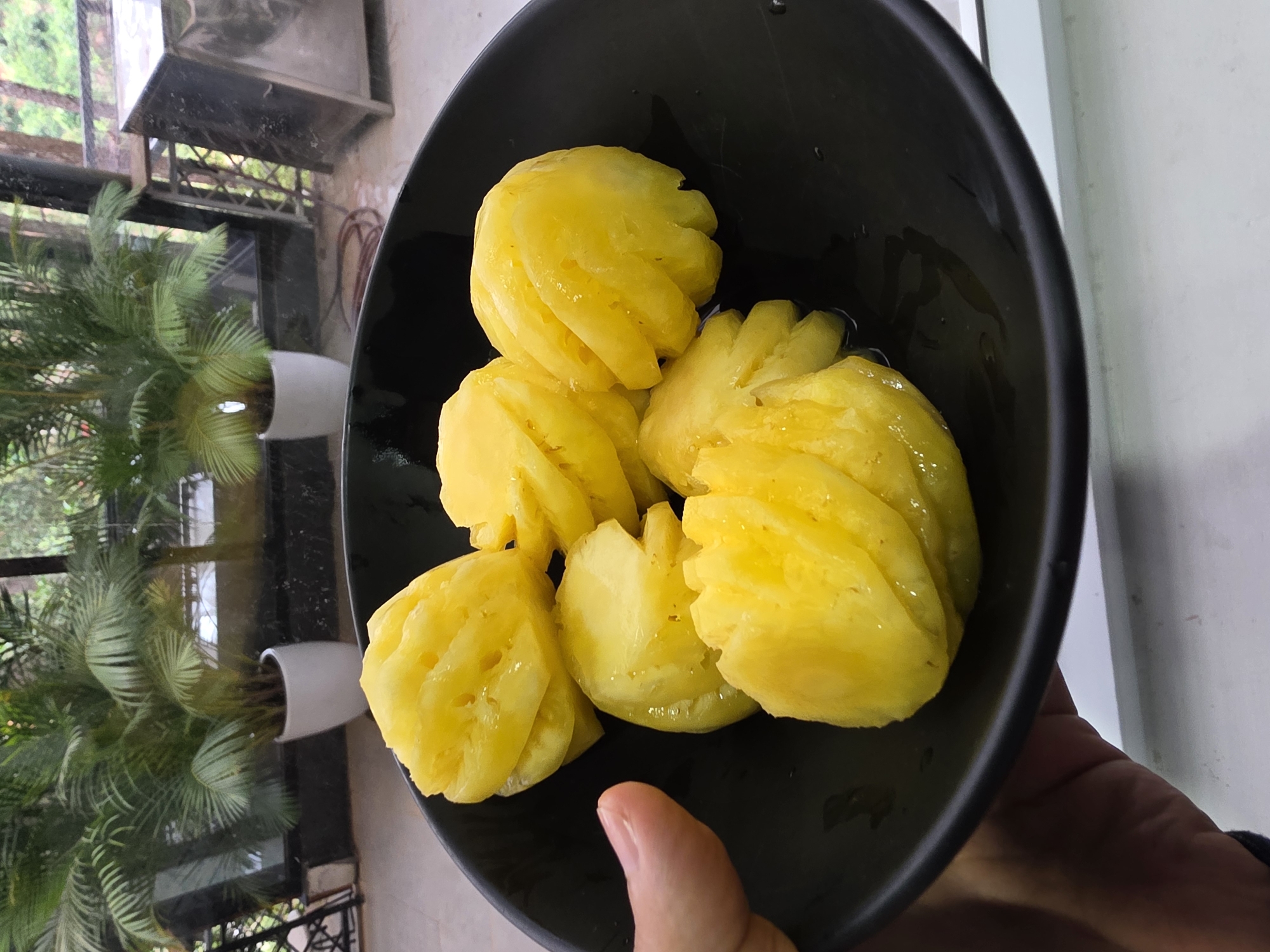 A high-angle shot shows a black bowl containing approximately six pieces of peeled jackfruit. A person's hand supports the bowl from below. The background includes a window with a view of trees and plants, and white planters on a balcony. The location is plausibly Da Lat, Vietnam.