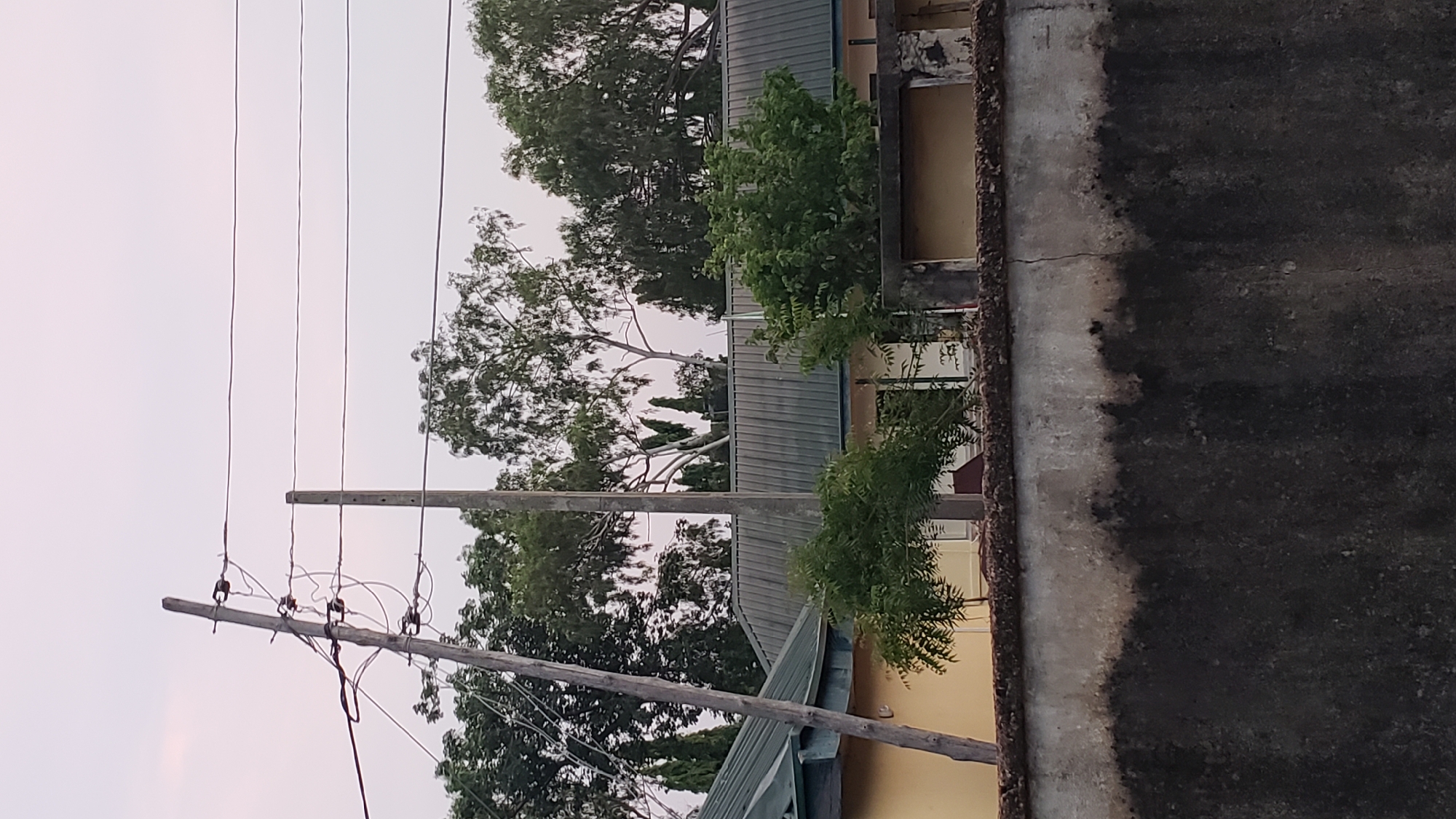 The image shows an exterior view of a building with a corrugated metal roof, likely in the city of Jalingo, Nigeria. In the foreground, a weathered, dark-colored wall with a lighter, stained upper section runs across the frame. Behind the wall, a section of a yellow building is visible, with a portion of its green metal roof extending into the frame. Several trees with green foliage are present, with one bushy tree in the mid-ground and taller trees with lighter colored trunks and branches in the background. Utility poles and overhead electrical wires are prominently featured in the upper portion of the image. The sky is overcast with a pale, diffused light.