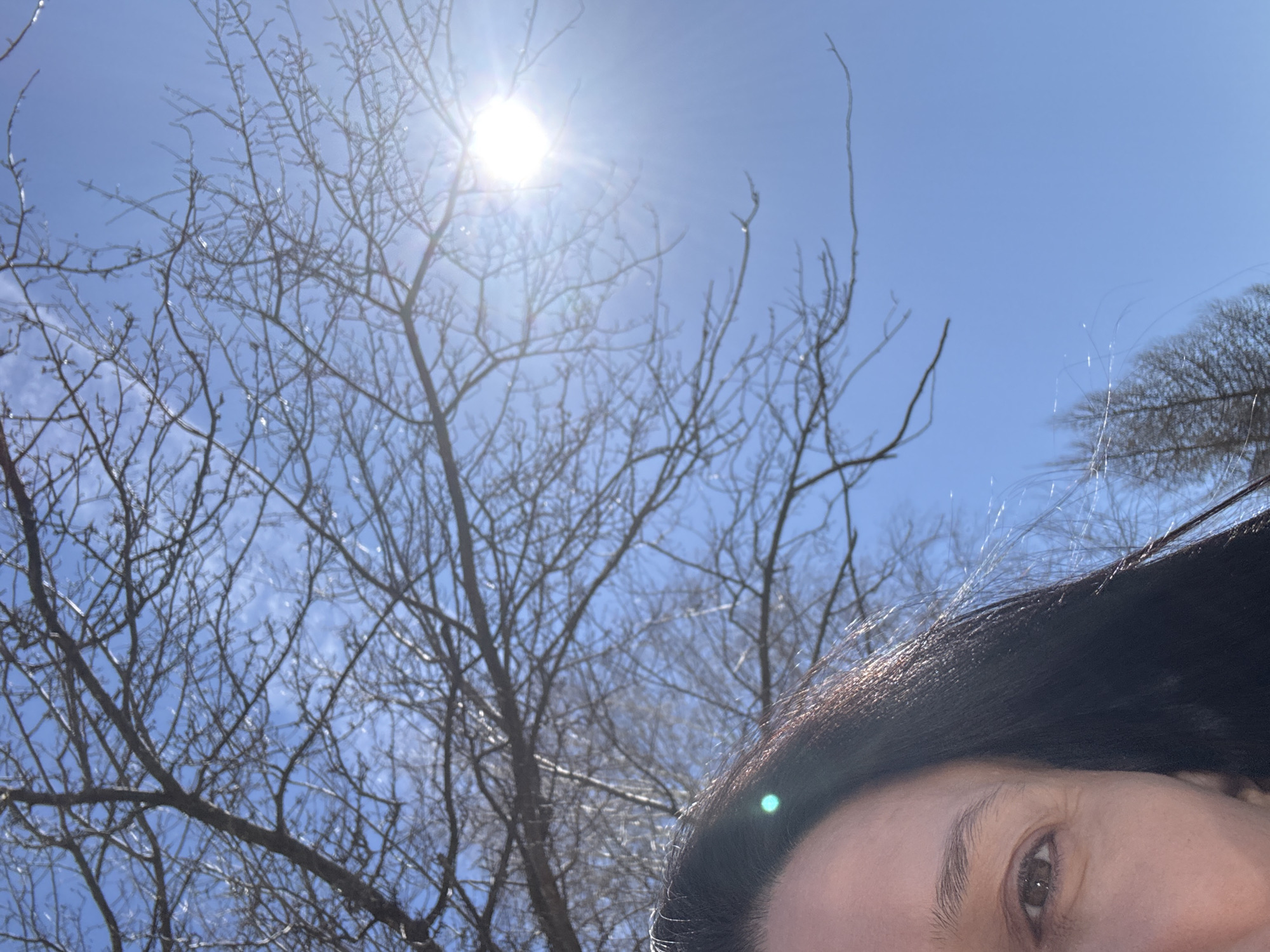The image shows a partial view of a person's face in the lower right corner, including an eye and part of their dark hair. The background is a bright blue sky with the sun visible in the upper center. Bare tree branches, possibly covered in ice, fill the left and upper parts of the frame. The location is unspecified, and there is no indication that the image was taken in Chaikovsky, Russia.