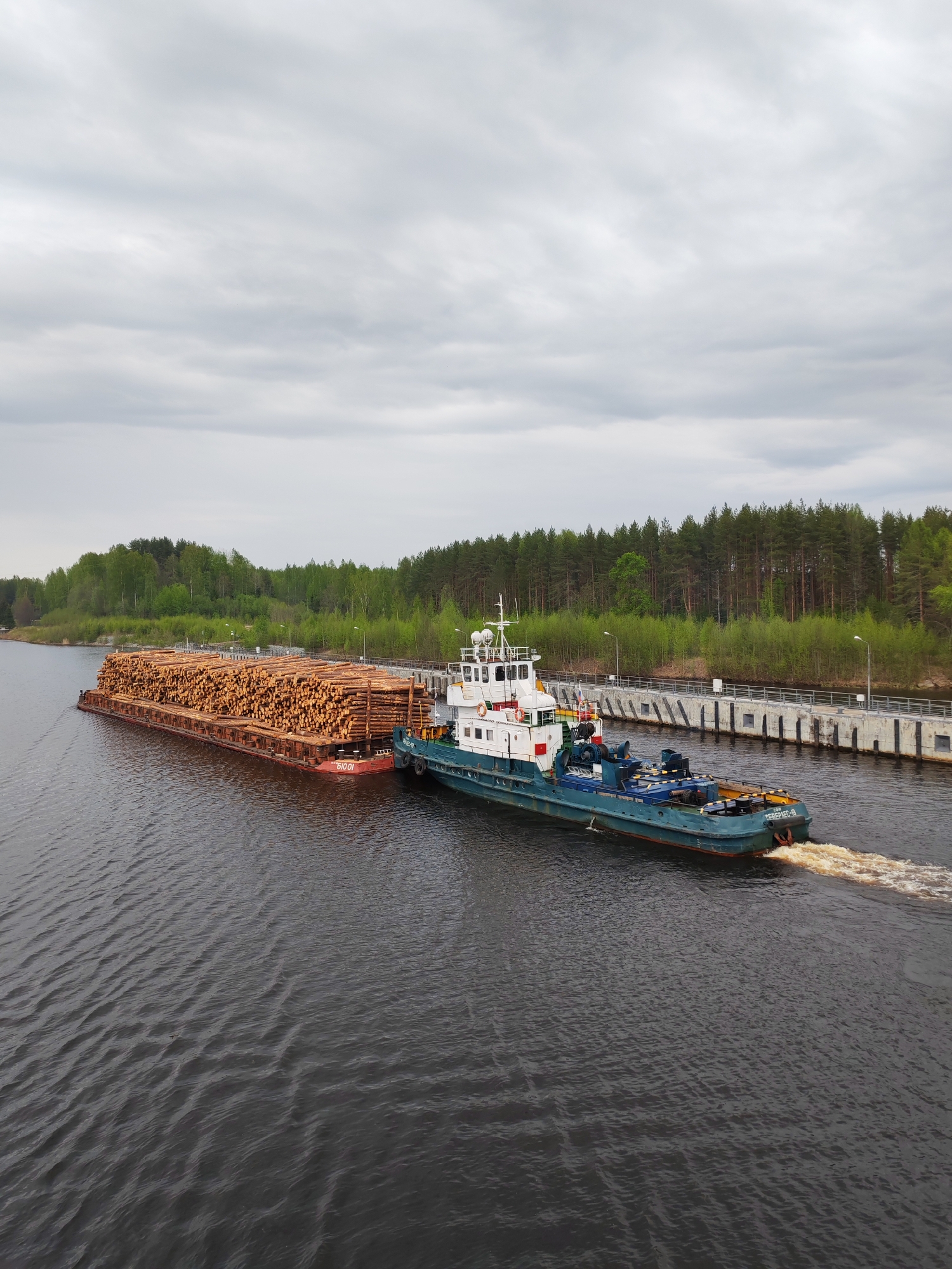A tugboat is pushing a barge loaded with logs along a canal. The tugboat is blue and white and is labeled "СЕВЕРЯНИН-18". The barge is red and is loaded with a large stack of logs. The canal is lined with concrete walls and lamp posts. A forest lines the opposite side of the canal. The sky is overcast. The location in the city of Unknown, Unknown.