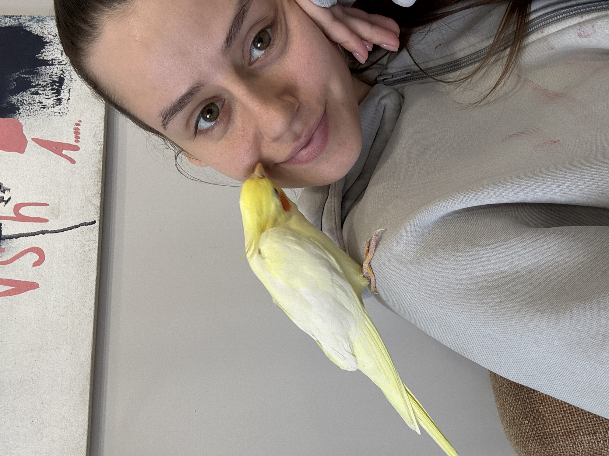 A woman is holding a yellow cockatiel bird, with the bird appearing to peck at the tip of the woman's nose. The woman is wearing a light gray hoodie. Part of her hand is near her head. An artwork is partially visible in the background. The location is unknown and not apparent from the image. Krasnoyarsk, Russia cannot be confirmed.