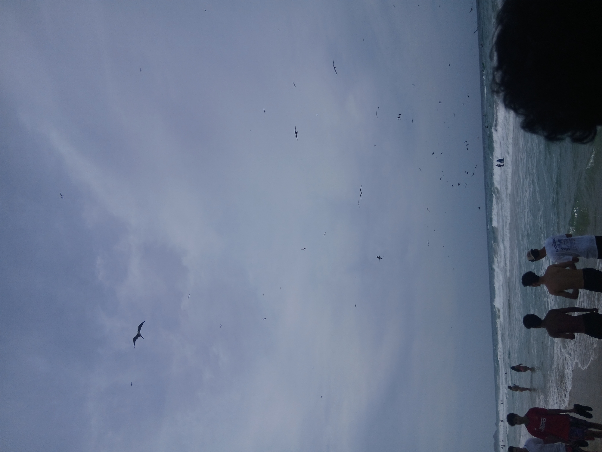 The image depicts a beach scene at Playa Parguito, Venezuela. The sky is overcast, and numerous birds are flying overhead. The beach is populated with people, some of whom are in the water, while others are standing on the sand. Waves are visible in the ocean. The image is rotated 90 degrees clockwise. A portion of a person's head is visible in the upper right corner of the image.