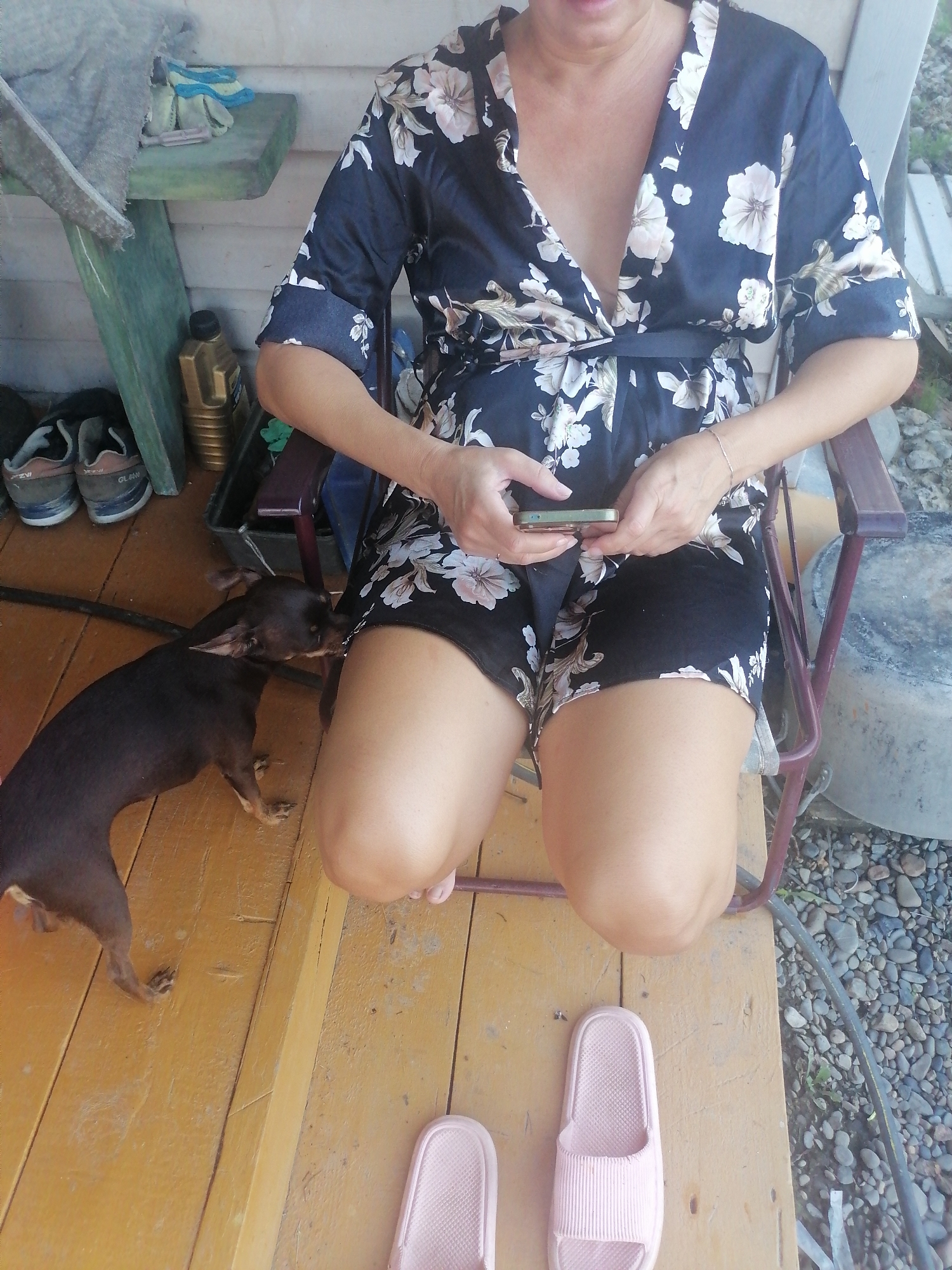 A dark-haired chihuahua is shown sniffing the leg of a woman sitting in a chair on a wooden porch. The woman is wearing a floral print robe and holding a smartphone. Two pink slides are on the porch floor in front of the chair. In the background, a shelf holds cleaning supplies and a pair of shoes. The scene is set in Novopokrovka, Russia.