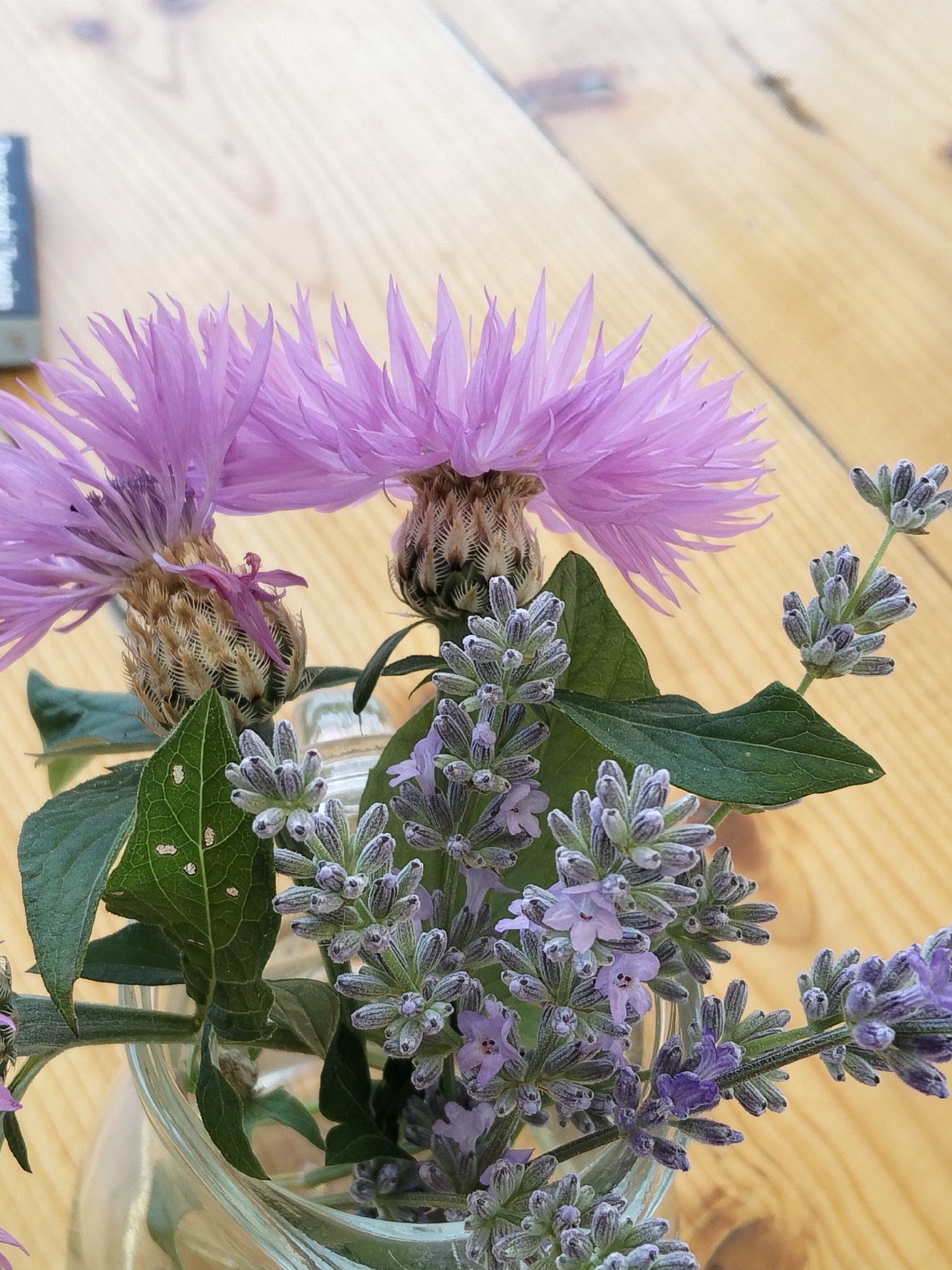 A close-up shot captures a bouquet of purple flowers, including two large cornflowers and several sprigs of lavender, arranged in a clear glass jar. The flowers are displayed on a light-colored wooden surface, likely a table, with visible wood grain and some faint shadows. The cornflowers, with their spiky, fringed petals, are a vibrant shade of pinkish-purple. The lavender blooms are a softer, more muted purple, with delicate buds and small open flowers. Green leaves, some showing small white spots that could be insect damage, are interspersed with the flowers. The background is softly blurred, with hints of a darker object on the left side, possibly a book or notebook. The lighting suggests it is daytime, with natural light illuminating the subjects. The overall mood is serene and natural. No people are visible in the image. There is no visible text in the image.