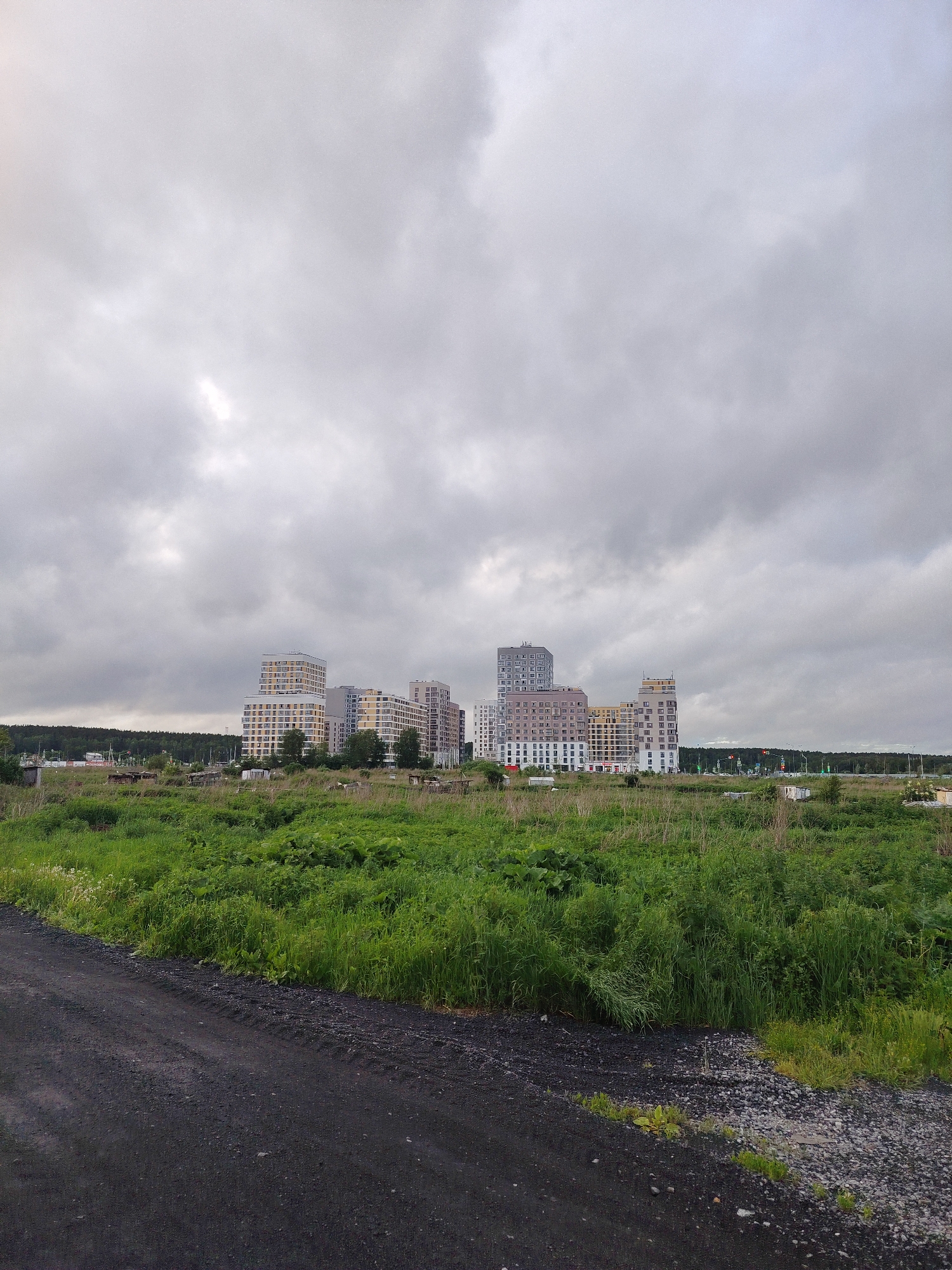 A photograph depicts a cloudy, overcast sky above a developing residential area in Yekaterinburg, Russia. In the middle ground, a cluster of modern, multi-story apartment buildings with light-colored facades are under construction or recently completed. The buildings vary in height and architectural style, with some featuring balconies and a grid-like pattern of windows.
In the foreground, a dirt road or path is visible, leading the eye towards the buildings. Adjacent to the road is a field of tall, green grass and vegetation, indicating undeveloped or partially developed land. Some scattered structures, possibly construction sheds or small outbuildings, can be seen amidst the greenery in front of the apartment complex. In the distance, a line of trees marks the edge of the urban development. The overall scene suggests a transition zone between natural landscape and urban expansion.
