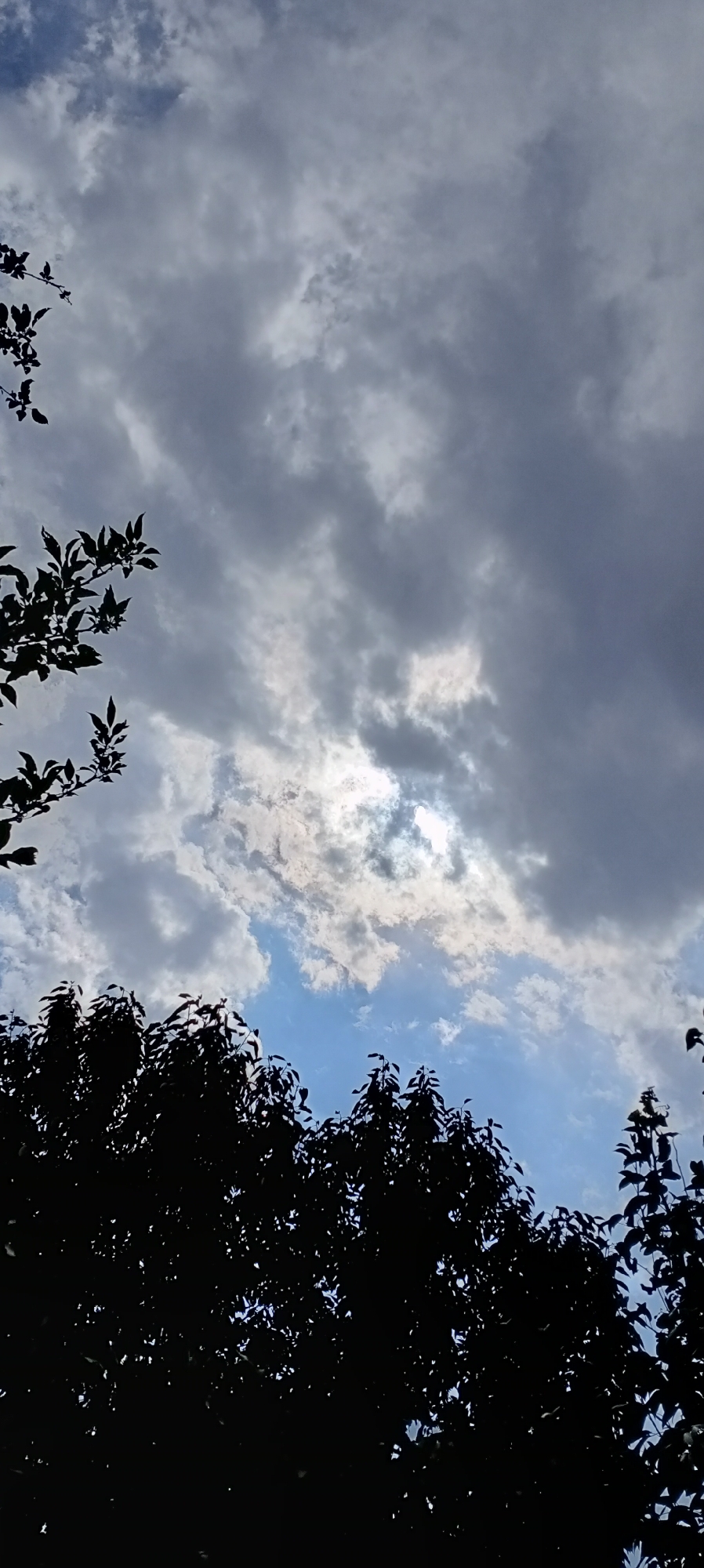A vertical, low-angle shot captures a sky filled with a mix of gray and white clouds, with patches of blue sky visible. Sunlight breaks through a dense cluster of clouds in the upper center of the image, creating a bright, diffused glow. Silhouetted against the sky in the foreground are the dark shapes of tree branches and leaves, along the top left and bottom of the frame. The density of the foliage suggests it is either summer or early autumn. The image composition, with the foreground trees framing the sky, evokes a sense of looking up into the canopy on a cloudy day. The location is identified as Sokuluk, Kyrgyzstan.