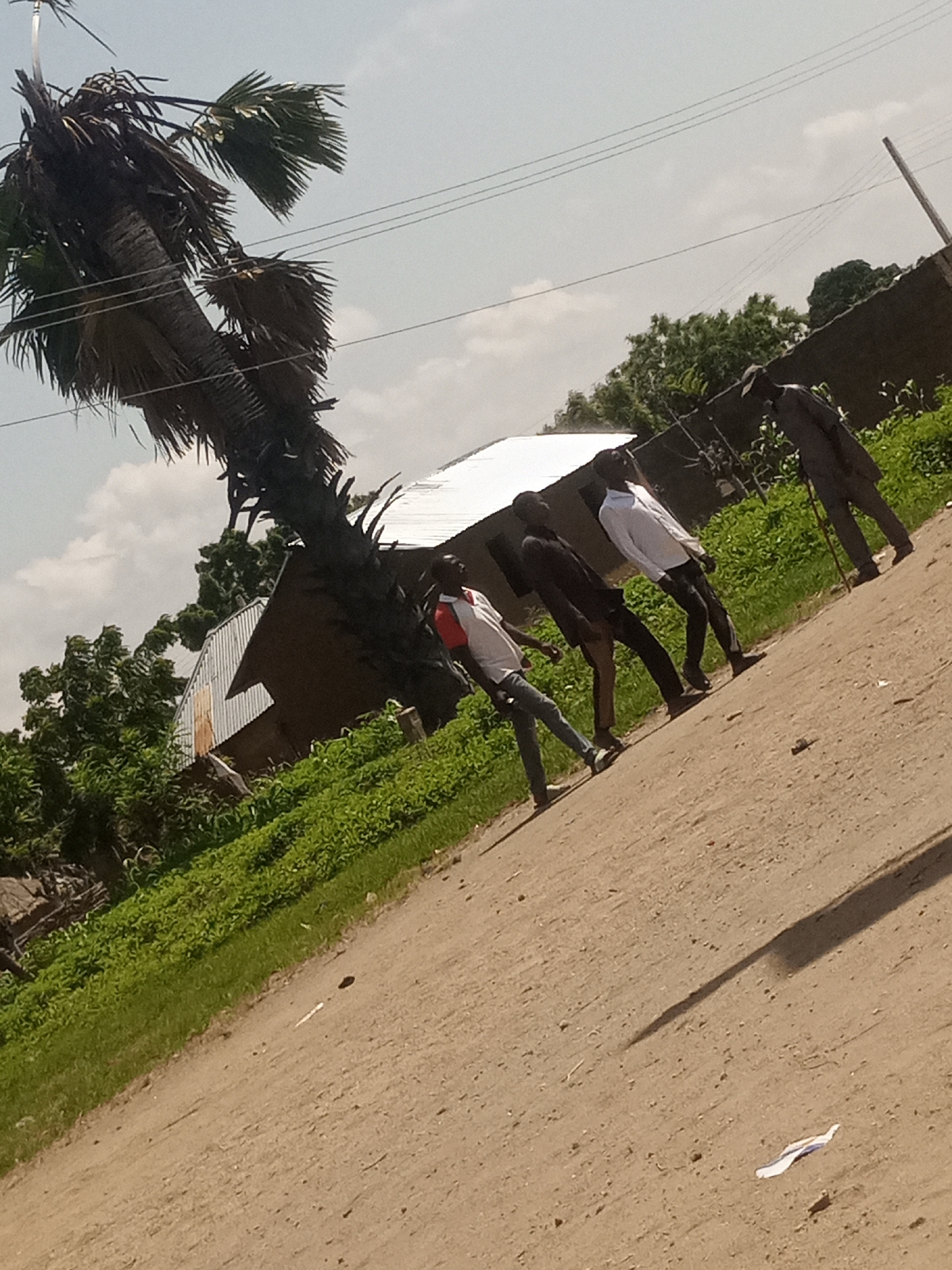 In Langtang, Nigeria, under a bright, overcast sky, a group of four young Black men are walking down a dirt road. The road is on a gentle incline, with a patch of vibrant green grass and foliage on the left, leading to a cluster of rustic buildings with corrugated metal roofs. To the right of the road, a tall, slender palm tree with a weathered trunk and sparse fronds leans dramatically. The men are dressed in casual attire. The man closest to the camera on the left wears a white t-shirt with red accents and dark trousers. The second man from the left is dressed in a dark t-shirt and brown trousers. The third man, wearing a white long-sleeved shirt and dark trousers, is in the middle of the group. The fourth man, furthest to the right, is wearing a dark suit and holding a walking stick. The overall atmosphere suggests a sunny day, with the men appearing to be engaged in conversation or heading towards a destination.