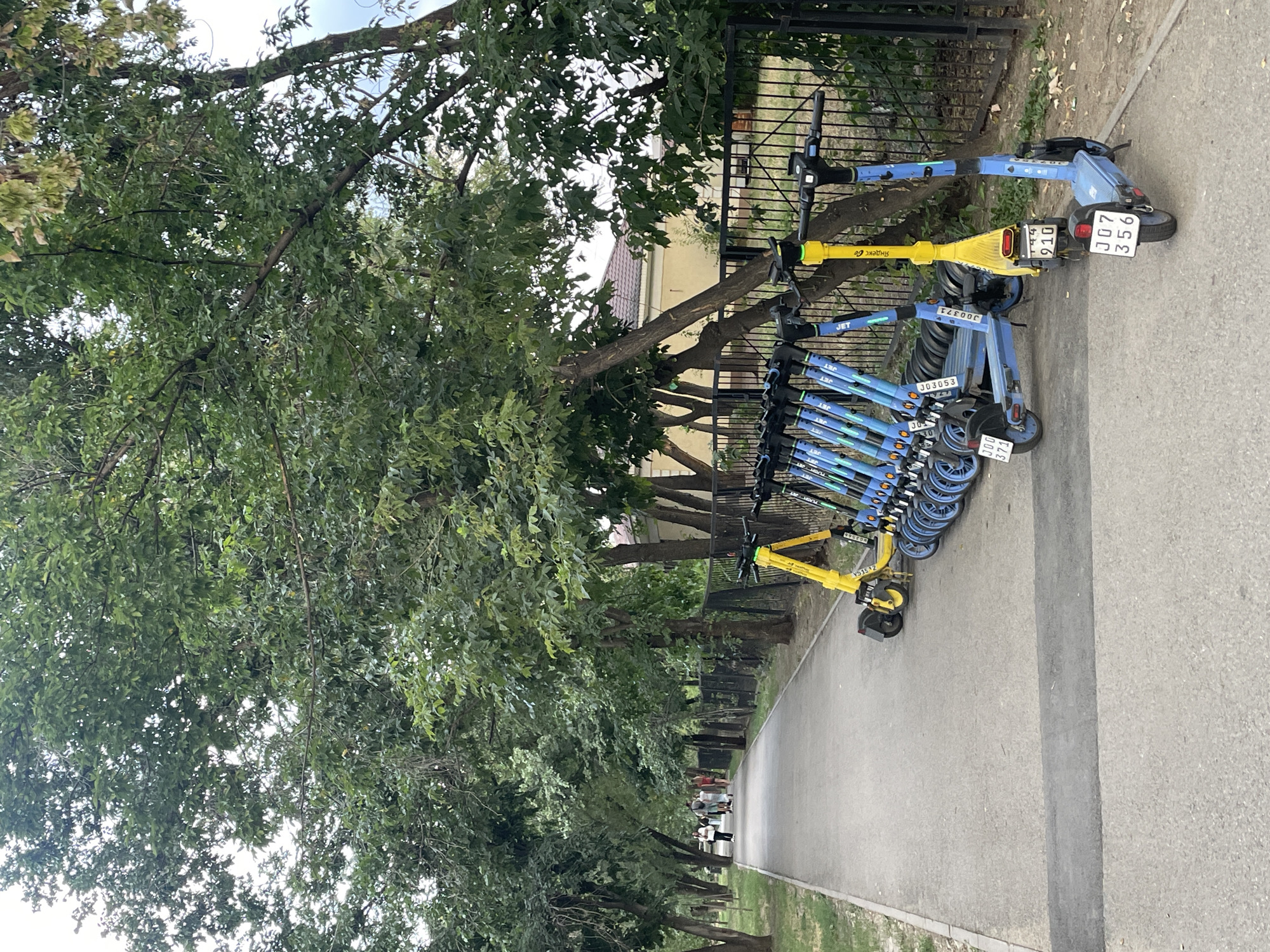 This image depicts a paved pathway in a park-like setting, likely in Almaty, Kazakhstan, indicated by the "Yandex Go" branding on a yellow scooter and a license plate format seen in the region. The pathway is lined with trees on the left and a black metal fence on the right, beyond which is a grassy area and some buildings. A group of people are walking away from the camera on the pathway in the distance. Parked along the fence, on the right side of the pathway, are several electric scooters. Two yellow scooters and multiple blue scooters are visible, all lined up neatly. One blue scooter in the foreground has a license plate that reads "JD7 356". The weather appears to be overcast, with a soft, diffused light. The overall scene suggests a common urban amenity for transportation and recreation.