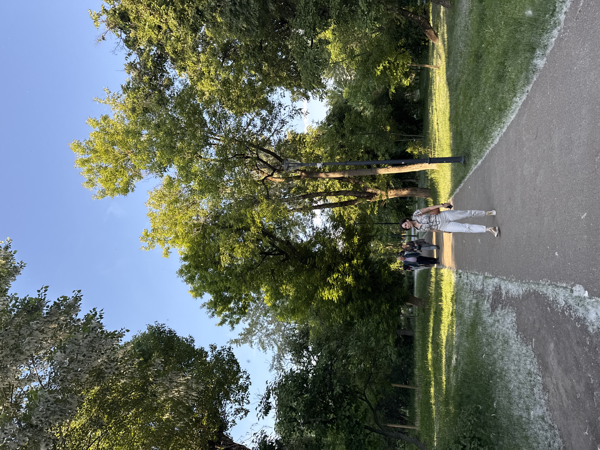 The image depicts a sunny outdoor scene in a park in Moscow, Russia, during what appears to be late afternoon or early evening, characterized by a clear blue sky and long shadows. A paved path runs diagonally from the bottom right to the top left of the frame, bordered on its left by a vibrant green grassy area.
In the mid-ground, a person, wearing light-colored pants and a patterned shirt, stands on the paved path, facing slightly to their left. They are holding what appears to be a mobile phone in their left hand. Behind them, further down the path, several other individuals are visible walking.
The grassy area adjacent to the path is lush green, with patches of sunlight and shadow. A distinctive feature across both the grass and parts of the path is the presence of white, fluffy material, resembling snow, but consistent with poplar fluff (seeds) commonly seen in late spring or early summer.
Dense green trees with full foliage dominate the left side and upper portion of the image, casting shadows that stretch across the ground. A dark lamppost stands near the paved path in the mid-ground. The overall atmosphere is peaceful and serene, typical of a park setting. There is no visible text in the image.
