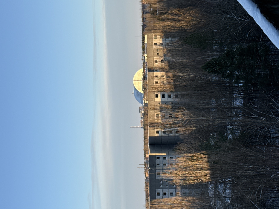 The image displays an elevated view of the abandoned city of Prypiat, Ukraine, during winter, observed from a building, looking generally south-southeast towards the Chernobyl Nuclear Power Plant.
In the distant background, beneath a clear blue sky featuring a faint horizontal cloud band, the New Safe Confinement (NSC)—a large, light-colored arched dome covering Chernobyl Reactor 4—is prominently visible. To its left, a tall, red-and-white striped industrial chimney stack stands. Other industrial structures are partially visible further back.
The mid-ground contains multiple multi-story, grey concrete residential apartment buildings, characteristic of Soviet-era construction in Prypiat. These structures appear derelict, with numerous empty window apertures. Low-angle sunlight illuminates sections of their facades, creating distinct light and shadow areas.
The foreground is dominated by a dense growth of bare deciduous trees and scattered evergreen conifers. Patches of snow are visible on the ground amidst the trees and on a dark, angled surface in the lower right, consistent with a rooftop or ledge from the vantage point. No human figures or discernible activities are present within the frame.