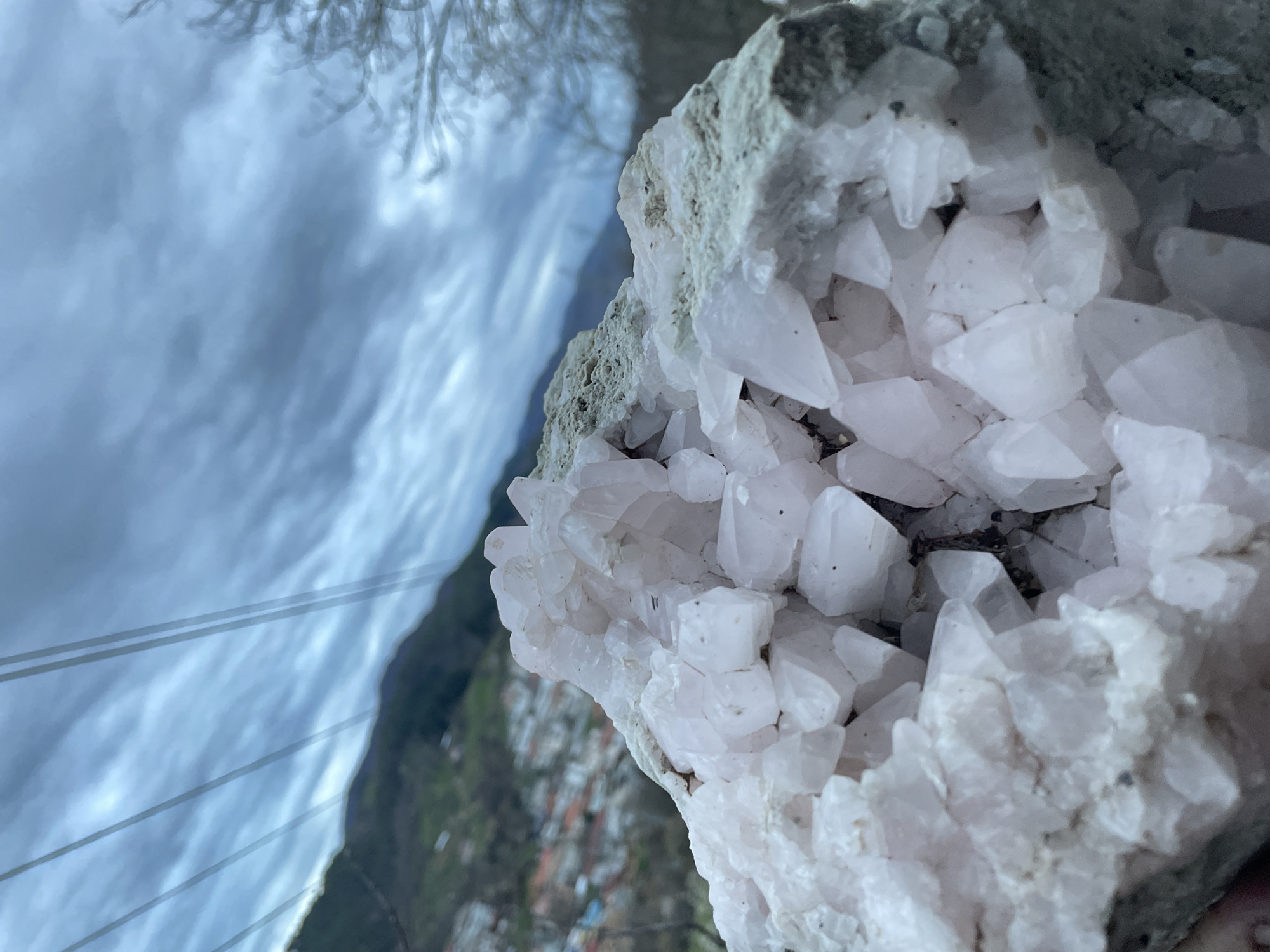 The image shows a geode of quartz crystals. The crystals are translucent white with some showing a pinkish hue. The geode is embedded in a light grey, porous rock matrix. In the blurred background, utility lines are visible, along with trees and a hillside dotted with buildings, suggesting a populated area. While the prompt asks for the location to be Zlatograd, Bulgaria, the image alone cannot verify this location. The specific details of the scene are limited to the geode and the vague background elements.