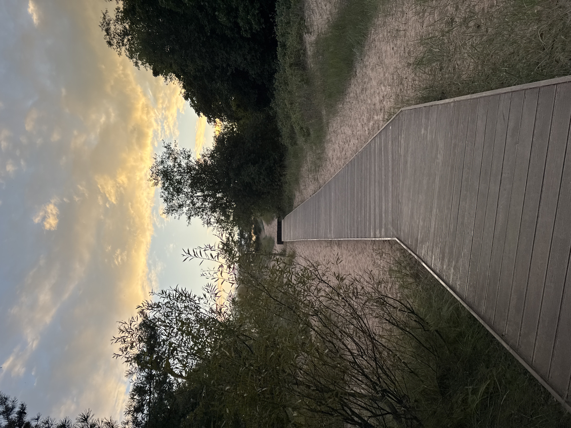 A wooden boardwalk extends into the distance, flanked by sand and vegetation. The sky above is a blend of warm, sunset colors and muted blues, with soft clouds. Trees and bushes line the sides of the boardwalk, creating a natural pathway through a sandy, possibly coastal, environment. The scene appears serene and natural, suggesting a park or beach area. This location is likely the Sestroretsk Kurort in Sestroretsk, Russia, known for its sandy beaches and natural landscapes.