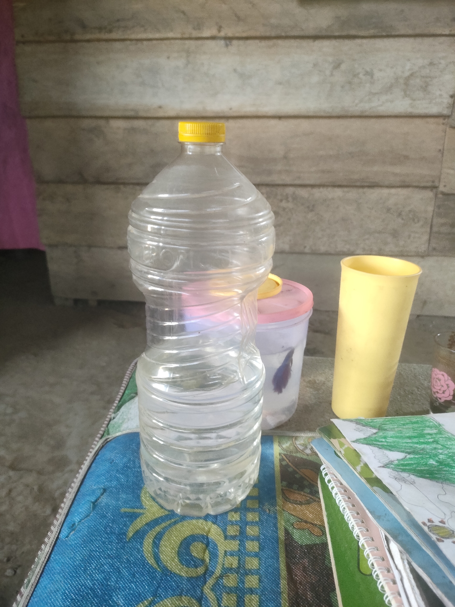 In a dimly lit room, a clear plastic bottle filled with clear liquid stands on a patterned blue mat. Behind it, a pink-lidded container holds a small blue fish. To the right, a yellow plastic cup and a stack of colorful notebooks are visible. A wooden wall serves as the backdrop. The scene appears to be in the city of Padang Dalom, Indonesia.