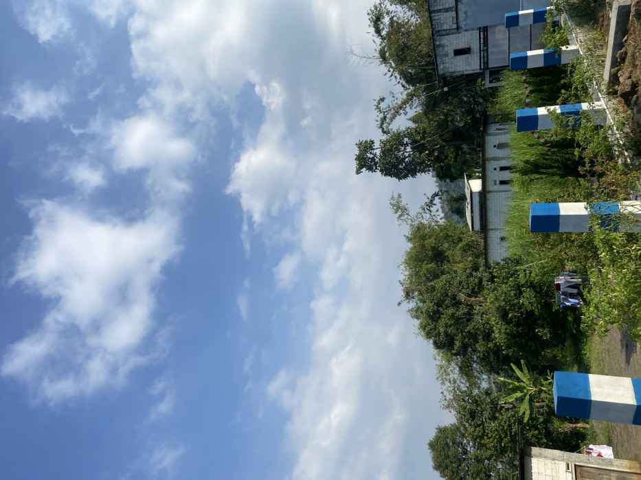 This image depicts an outdoor scene in Sukoreno, Indonesia, under a clear blue sky with scattered white cumulus clouds. The foreground features an unpaved dirt path or area on the left and dense green vegetation, including various shrubs, grasses, and low-lying plants, extending across the lower half of the frame. Four square-profile concrete pillars, painted in alternating white and blue sections, are positioned vertically on the right side, partially obscured by foliage.
In the mid-ground, several white, block-construction buildings are visible amidst mature trees. To the far left, a single-story white structure with a visible doorway. Towards the center-right, a one-story white building with a flat roof and multiple rectangular window openings is partially obscured by trees. Further to the right and slightly elevated, another multi-story, unfinished white building with dark, recessed window openings stands against a backdrop of dense trees, including bamboo. A small clothesline with several items of clothing (white, blue, red) hanging to dry is present on the left side, partially hidden by vegetation.
The background reveals distant, vegetated hills under the bright daylight. Direct sunlight illuminates the scene, casting subtle shadows to the right and rear of objects, consistent with morning or early afternoon conditions. No individuals are visible within the frame.