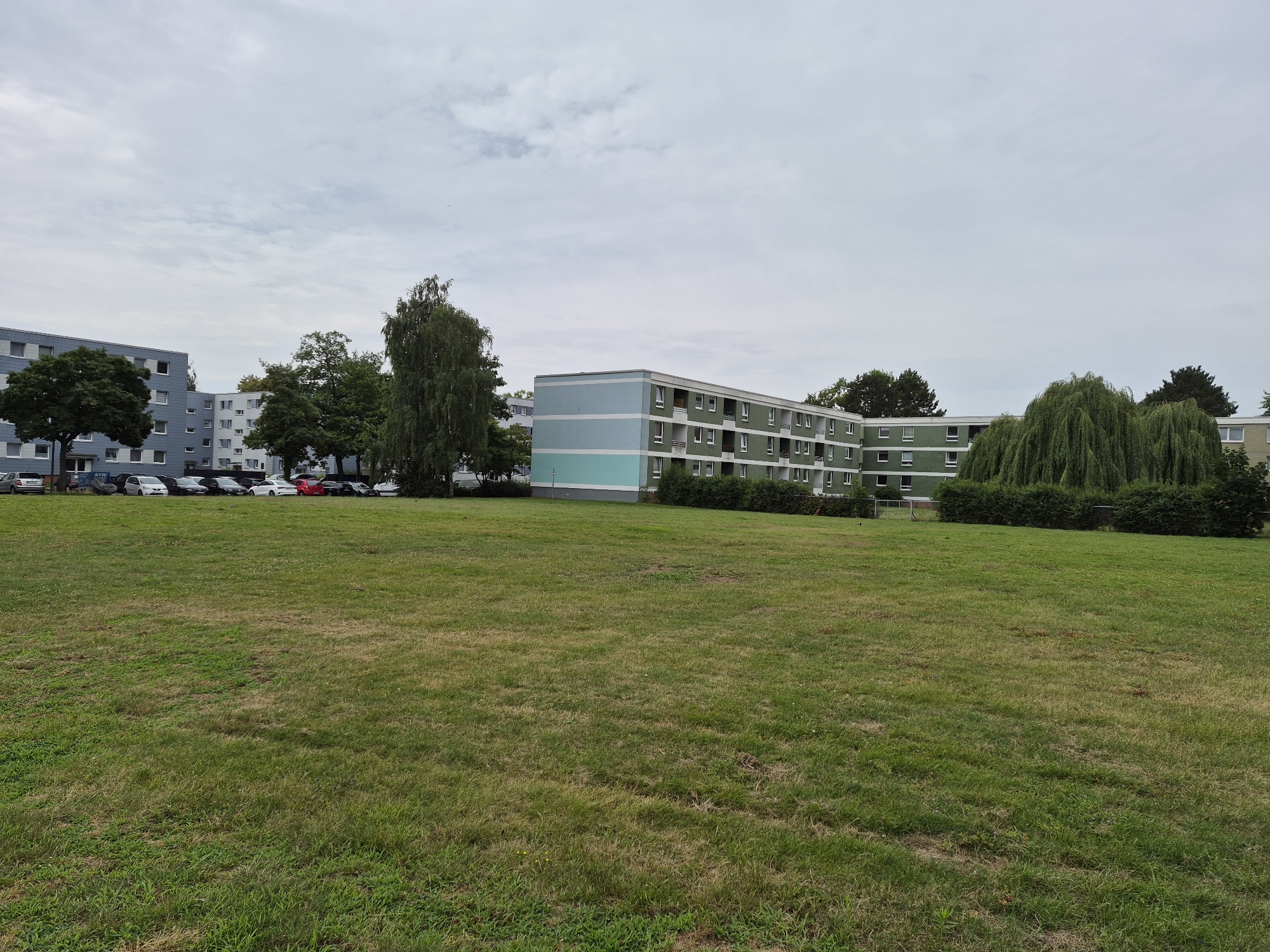 This is an exterior, eye-level, medium-wide shot of a residential area in the city of Brunswick, Germany. In the foreground, a large, mown lawn stretches out. In the middle ground, apartment buildings and trees are visible. The apartment buildings are multi-story structures with numerous windows and balconies. One building is painted light blue and green, with white trim around the windows. Another building is light gray. A row of cars is parked in front of the buildings. Tall, green trees are scattered throughout the scene, with weeping willow trees prominent on the right side of the image. The sky is overcast with clouds. The scene appears to be a typical urban residential neighborhood.