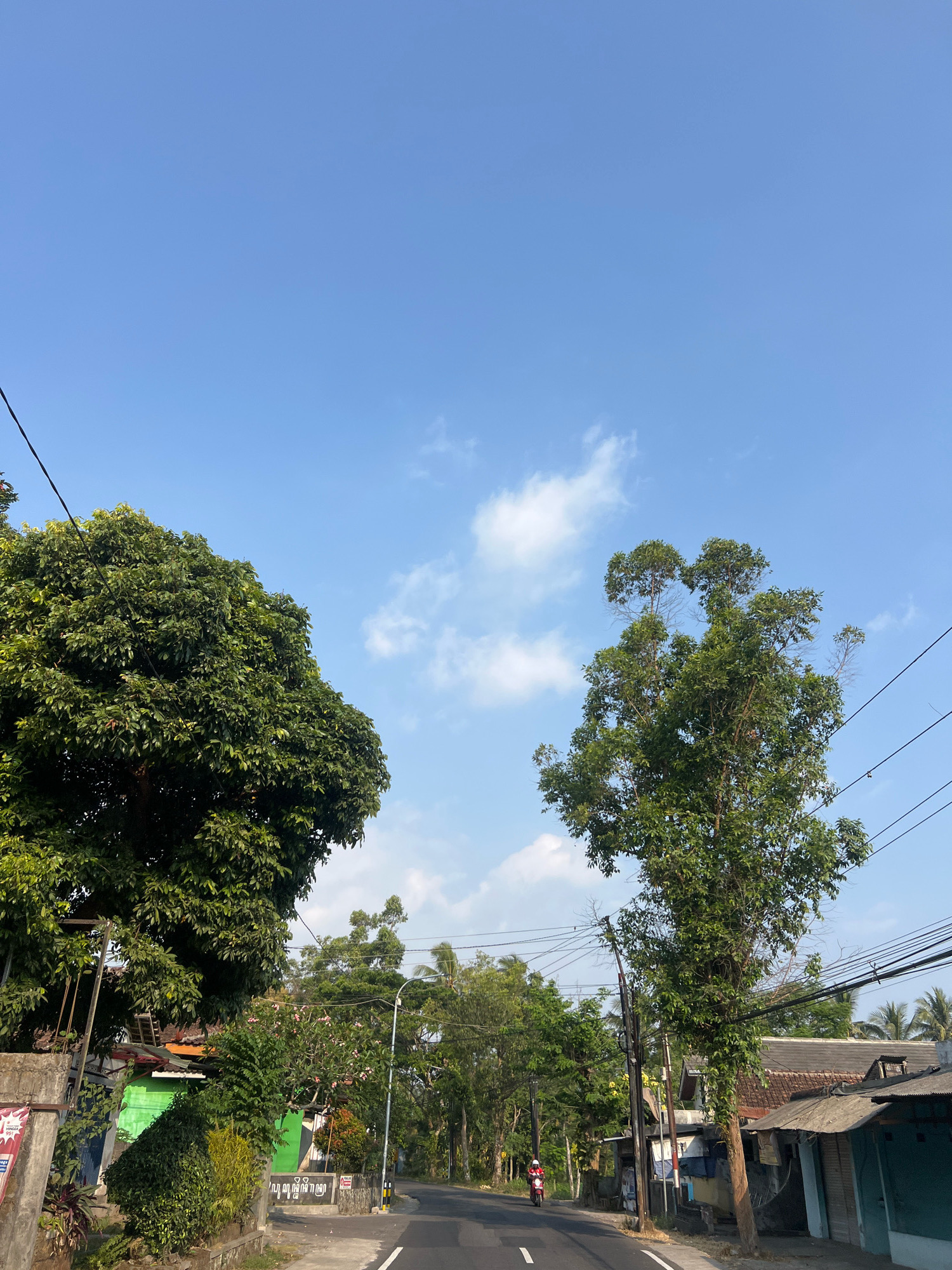 A bright, wide-angle, eye-level shot captures a rural road in Pakem, Indonesia, under a clear blue sky dotted with sparse white clouds. The road curves slightly to the right, bordered by lush green foliage and residential structures. On the left, a large, dense tree dominates the foreground, its leaves a vibrant green against the sky. To the right, a tall, slender tree with a more open canopy stands prominently, with power lines crisscrossing the upper portion of the frame.
The road itself is asphalt with white lane markings. On the right side of the road, several small, single-story buildings with corrugated metal and tiled roofs are visible, appearing to be shops or residences. A few palm trees can be seen in the background. On the left, a concrete wall with some signage and a potted plant lines the road.
A person on a red motorcycle, wearing a white helmet and red jacket, is seen riding down the road, moving away from the viewer. The overall impression is one of a sunny, peaceful day in a rural Indonesian village.