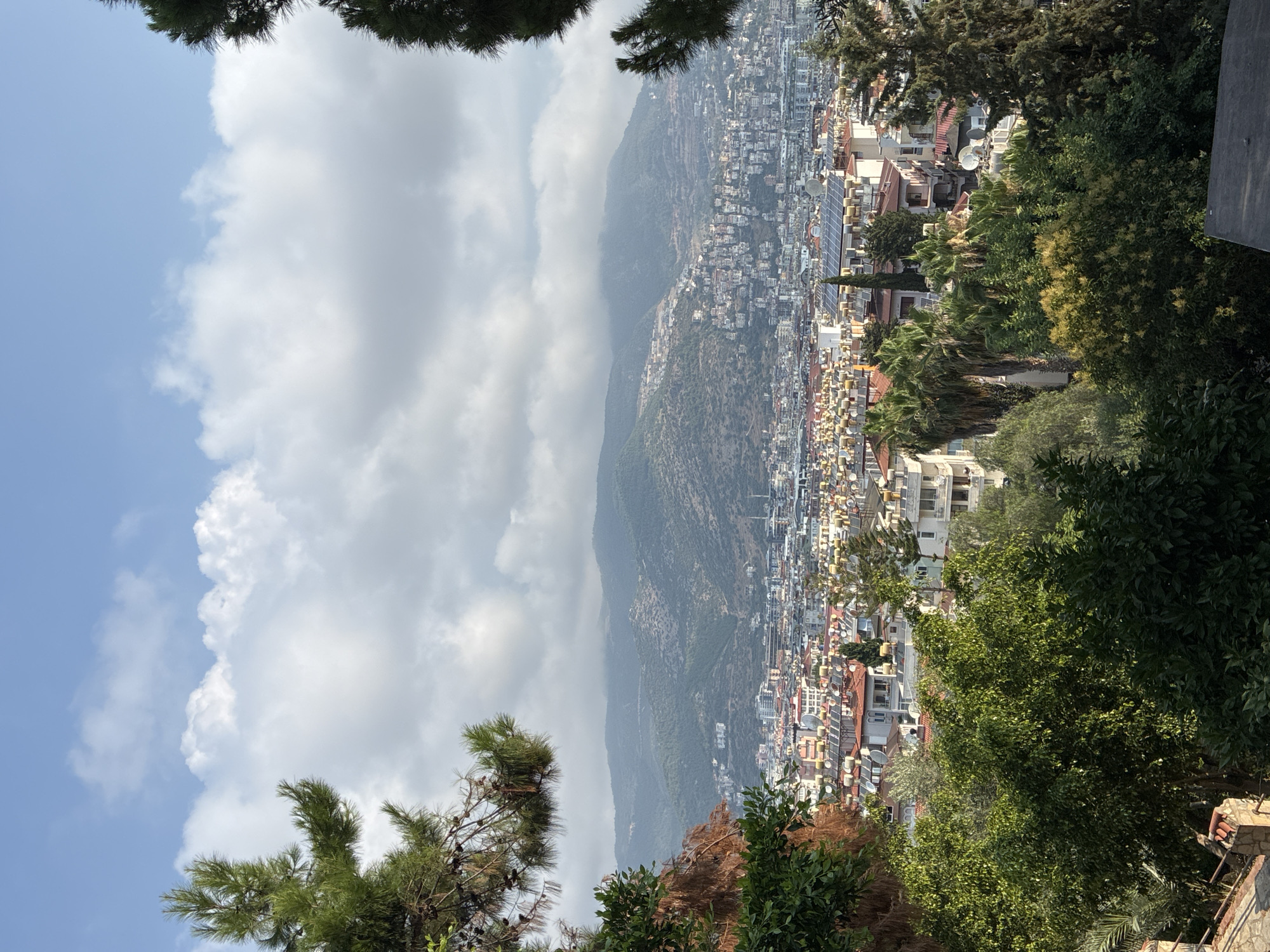 The image shows a panoramic view of the city of Alanya, Turkey, from a high vantage point. The foreground is dominated by lush green trees and foliage, with a pine tree on the left and a conifer on the right framing the scene. In the middle ground, a dense urban landscape of multi-story buildings with red-tiled roofs and white facades stretches out. Many of these buildings are equipped with solar water heaters. Beyond the city, a range of green, mountainous terrain rises, with the peaks partially obscured by clouds. The sky is a clear blue, with scattered white cumulus clouds. The overall scene depicts a sunlit day in a coastal city nestled against a mountainous backdrop.