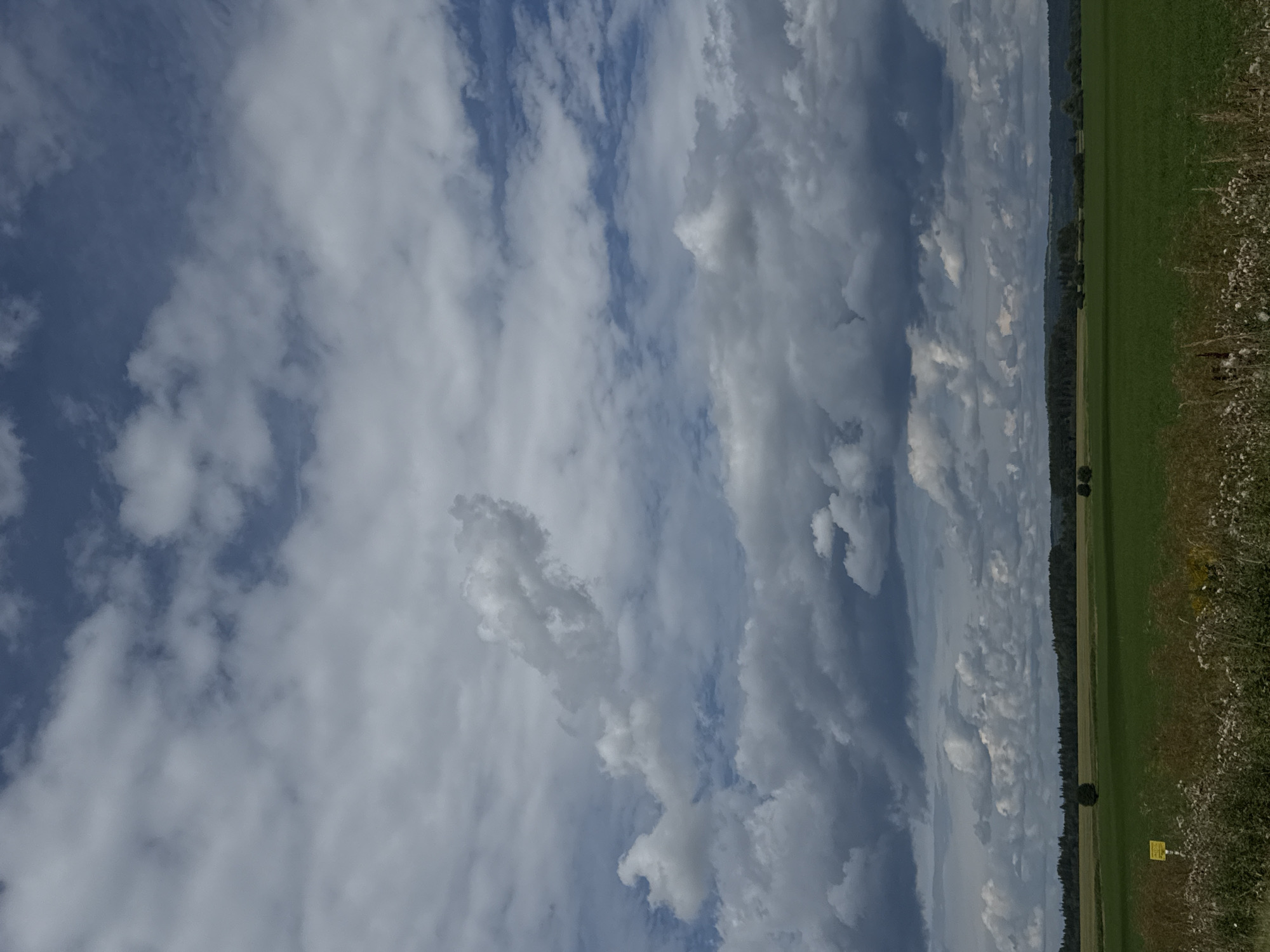 The image shows a rural landscape under a cloudy sky. The foreground consists of tall, dry grass with some white seed heads, and a yellow sign is visible on the left side of the frame. Behind the grass is a wide, flat green field. In the middle ground, a line of trees forms a dark green border along the horizon, with a few scattered trees within the field itself. The sky is dominated by various cloud formations, ranging from light, wispy clouds to darker, more ominous storm clouds. The overall impression is one of a vast, open countryside with dramatic cloud formations. The location is specified as Bolshoye Volkovo, Russia.