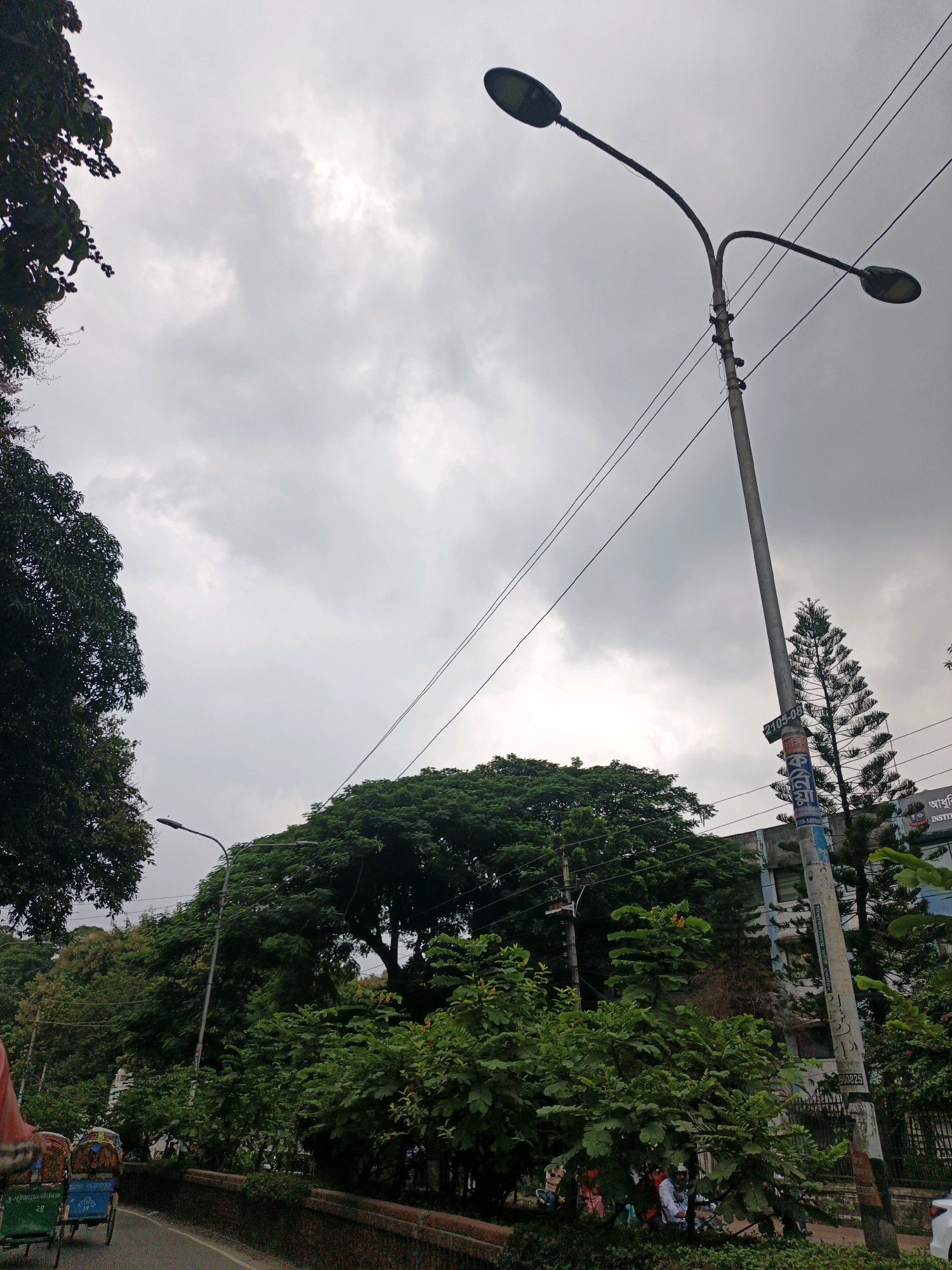 The image depicts a cloudy day in Dhaka, Bangladesh, as evidenced by the presence of a rickshaw and Bengali script on a utility pole. In the foreground, a street with a brick-lined embankment curves to the left. A rickshaw, partially visible on the left, is laden with colorful goods. Lush green trees and foliage dominate the middle ground, with a large, dense tree in the center and smaller trees and bushes surrounding it. A tall, slender tree with dark green needles stands to the right of the central trees. A concrete utility pole, adorned with various labels including Bengali script and numbers, rises in the mid-right of the frame. Two streetlights extend from the top of this pole, their dark lamps silhouetted against the overcast sky. In the background, a multi-story building with blue and white accents can be seen. Several people are visible near the base of the utility pole and amidst the greenery, engaged in indistinct activities. The overall scene suggests a typical urban streetscape in Dhaka under a sky filled with heavy clouds.