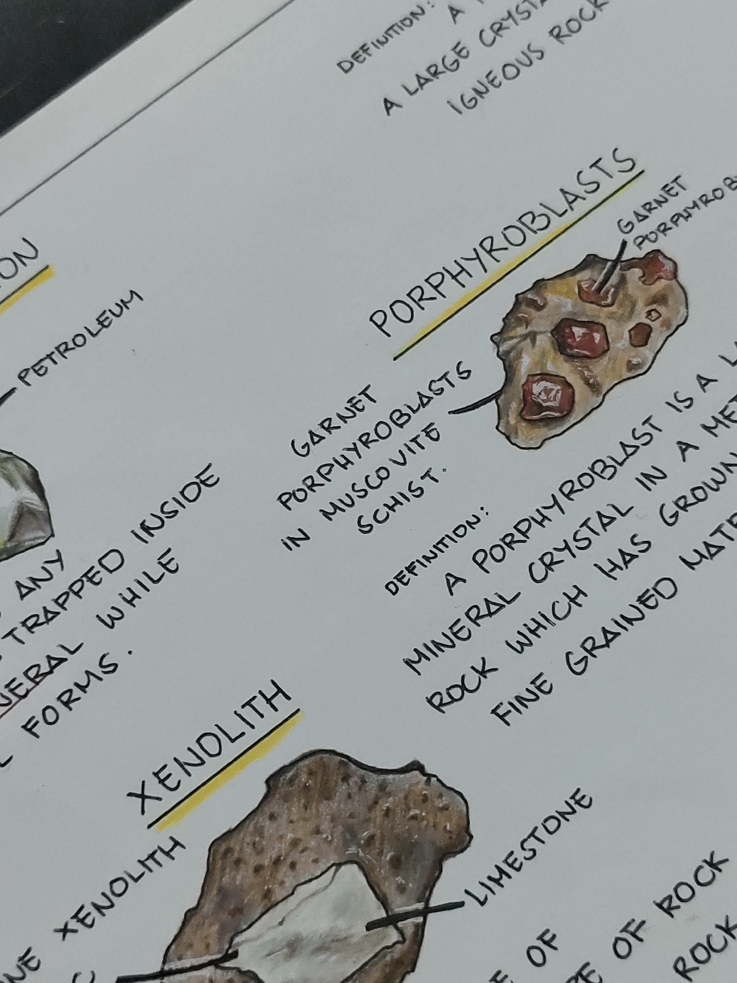 The image displays a close-up, angled view of a white paper sheet containing handwritten notes and colored illustrations. The paper exhibits a slight texture.
In the upper right, partially visible text reads "DEFINITION: A", "A LARGE CRYSTA", and "IGNEOUS ROCK".
The central right portion features the capitalized and yellow-underlined word "PORPHYROBLASTS". Below this, an illustration depicts an irregular, light brown object with multiple reddish, faceted inclusions. A thin black line connects one such inclusion to the handwritten label "GARNET PORPHYROB...", while another line connects to the text "GARNET PORPHYROBLASTS IN MUSCOVITE SCHIST.". Further below, "DEFINITION:" introduces descriptive text: "A PORPHYROBLAST IS A L...", "MINERAL CRYSTAL IN A MET...", "ROCK WHICH HAS GROWN...", and "FINE GRAINED MATE".
On the middle left, partial text includes "ON" underlined in yellow, "PETROLEUM" with a line extending left, and phrases such as "ANY TRAPPED INSIDE", "ERAL WHILE", and "FORMS.".
The bottom left of the image shows the capitalized and yellow-underlined word "XENOLITH". Below it, an illustration presents a dark brown, textured rock mass containing a smooth, irregular, light grey-white inclusion. A black line from the inclusion points to the label "XENOLITH", and another line from the surrounding darker material points to the label "LIMESTONE".
The bottom right contains fragmented text: "E OF ROCK" and "ROCK".
All text is handwritten in black ink, and illustrations are rendered with colored markers or pencils. No individuals are present in the frame.