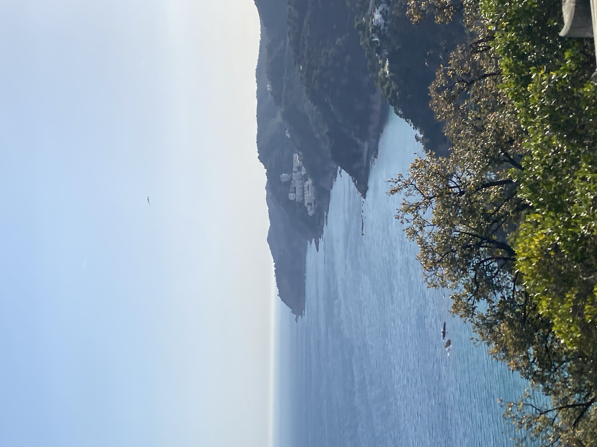 The image shows a coastal landscape, likely in Sant Feliu de Guíxols, Spain. The viewpoint appears to be from a high vantage point, looking down on the water and adjacent land.
**Environment:**
* **Water:** A large body of water, possibly the Mediterranean Sea, dominates the scene. Its color ranges from light turquoise near the shore to a deeper blue further out. There are visible ripples on the water's surface.
* **Land:** A rugged coastline is visible, featuring hills and cliffs covered with vegetation. Some structures, potentially buildings or houses, are scattered along the slopes of the terrain.
* **Sky:** The sky is pale blue with minimal cloud cover.
**Objects and Subjects:**
* **Trees:** Foliage from a tree or shrub fills a significant portion of the right side of the frame.
* **Birds:** Two small objects appear to be birds in flight above the water. One individual bird is visible in the distance.
* **Boats:** A few small boats are seen in the distance on the water.
* **Buildings:** White buildings are visible along the cliff faces.
**Actions and Interactions:**
* **Flight:** Birds are actively flying in the open air.
* **Navigating:** Boats are navigating the waters.
**Location Details (Inferred):**
* The geography and architecture visible in the image align with the coastal landscapes of Sant Feliu de Guíxols. The rocky coastline, vegetation, and scattered buildings are characteristic of this area.