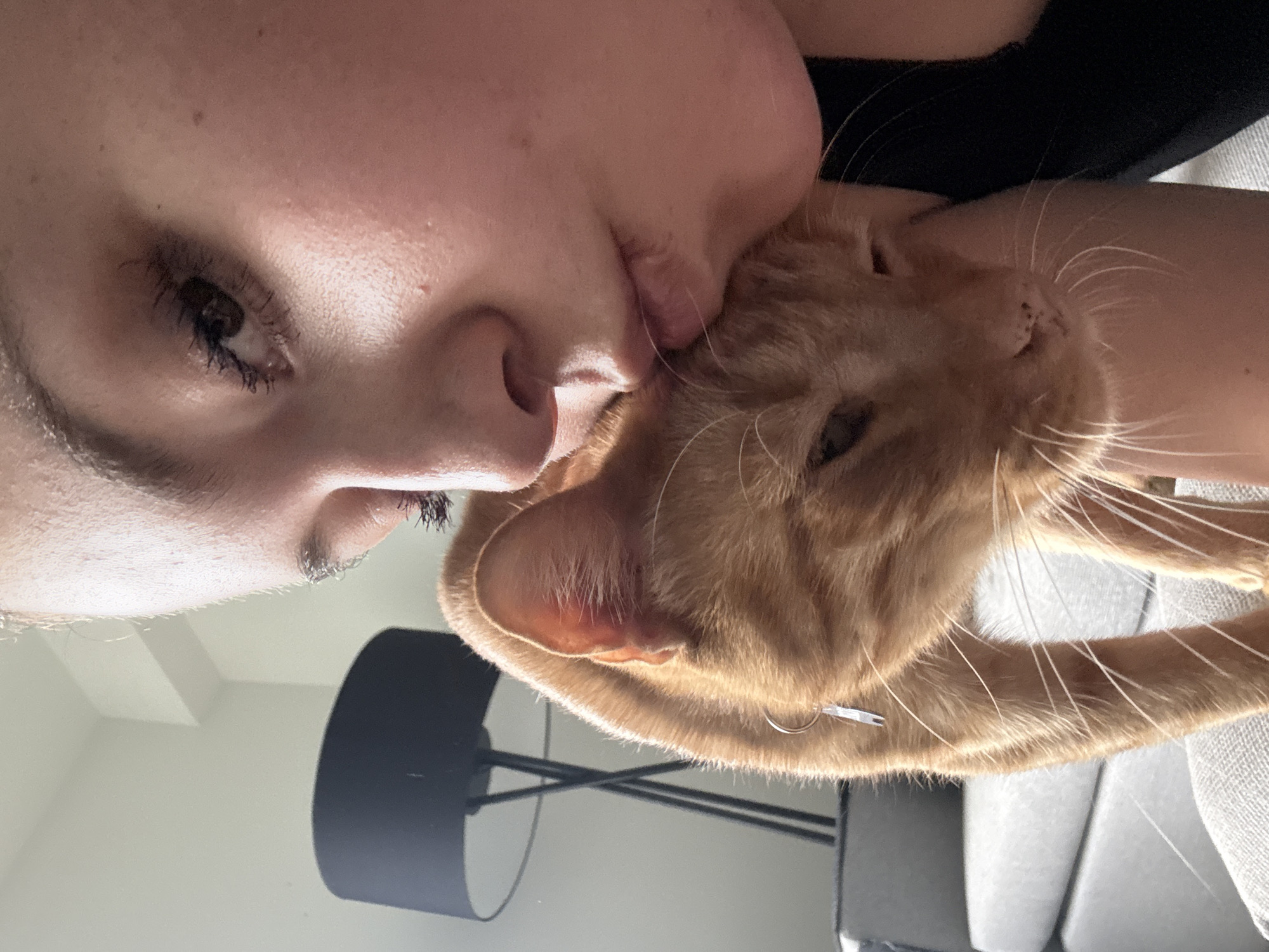 A close-up, rotated image shows a light-skinned person embracing a ginger cat. The person's face is pressed against the cat's head. The person's eye, nose, and mouth are visible. The cat has its eyes closed and a relaxed expression. The background includes a lamp and a couch. The image appears to have been taken indoors. The location is unknown and cannot be determined from the visual information.