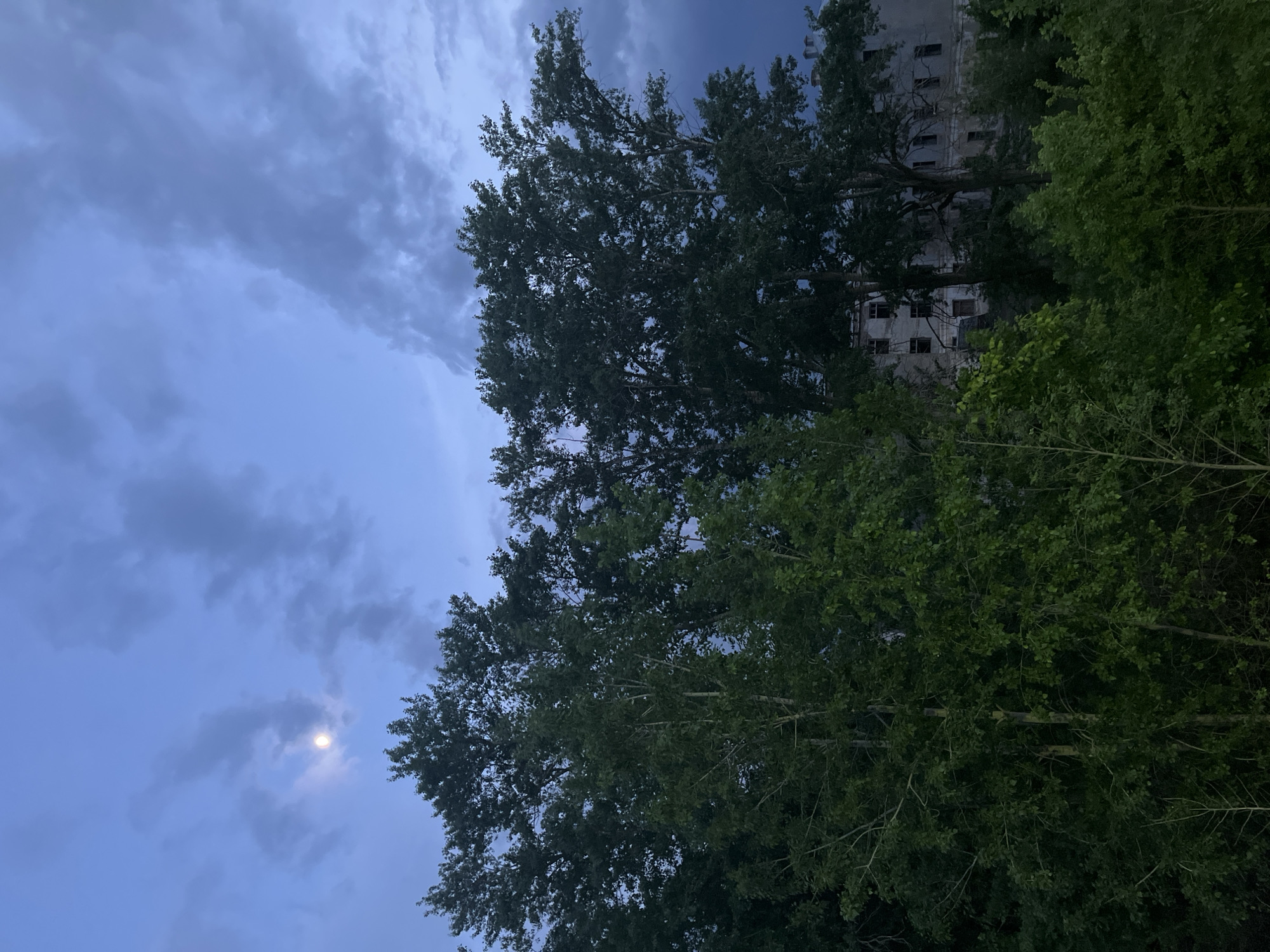 The image shows a sky with dark clouds and a visible moon in the lower-left corner. The right side of the image is dominated by trees. An old, multi-story building is partially visible through the trees in the background. The image seems to be taken at dusk or night. The location is Unknown, Unknown.