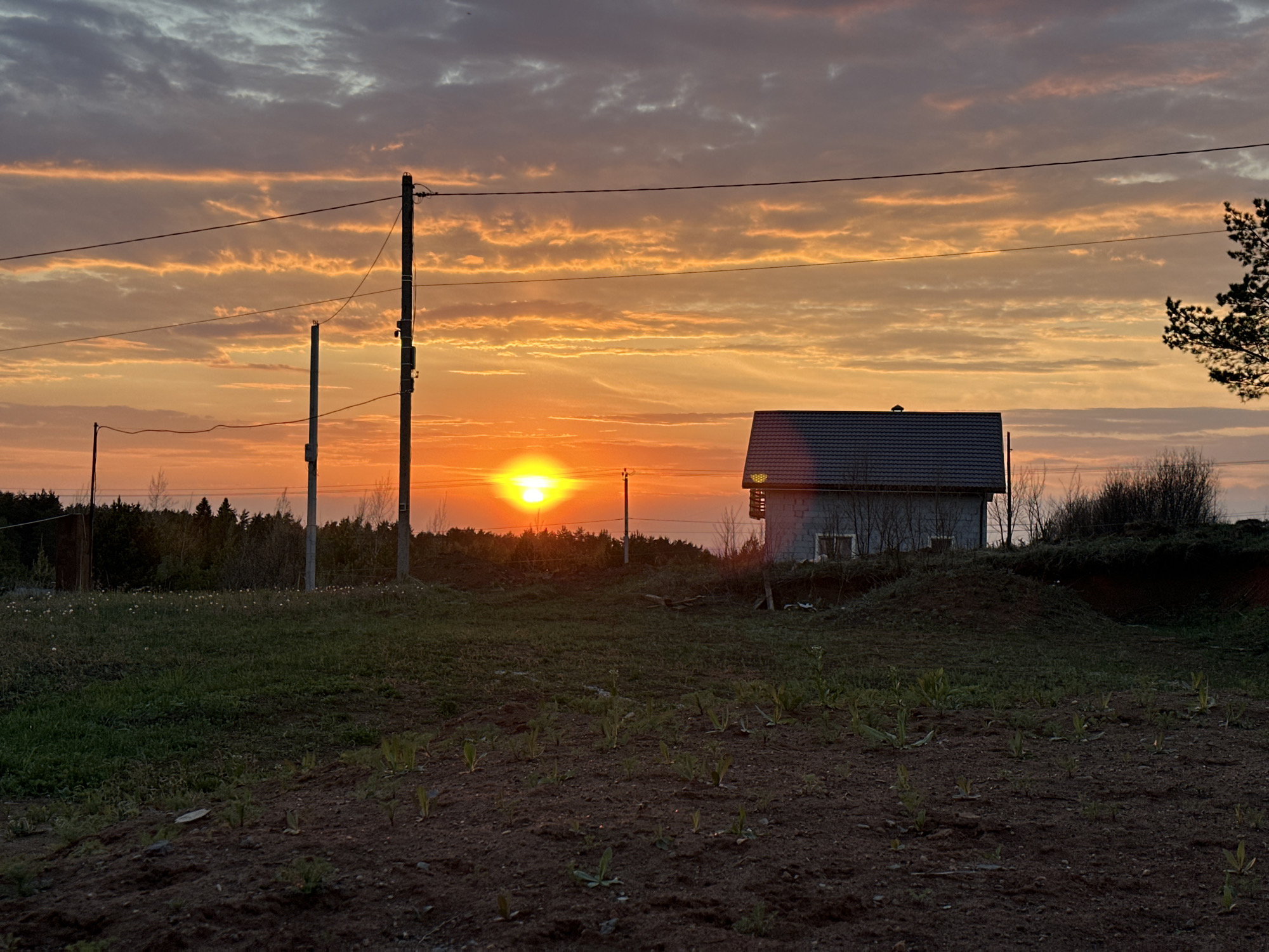 The image depicts a sunset over a rural landscape in the city of Прикамский, Russia. In the foreground, there is a field of dark soil with scattered green plants emerging from the ground. In the middle ground, to the right, sits a small, one-story house with a dark, gabled roof. Utility poles and wires run across the horizon line, silhouetted against the setting sun. The sun itself is a bright, round orb, centered on the horizon line. The sky is filled with bands of orange, pink, and grey clouds, indicating either sunrise or sunset. The overall atmosphere is tranquil and still.