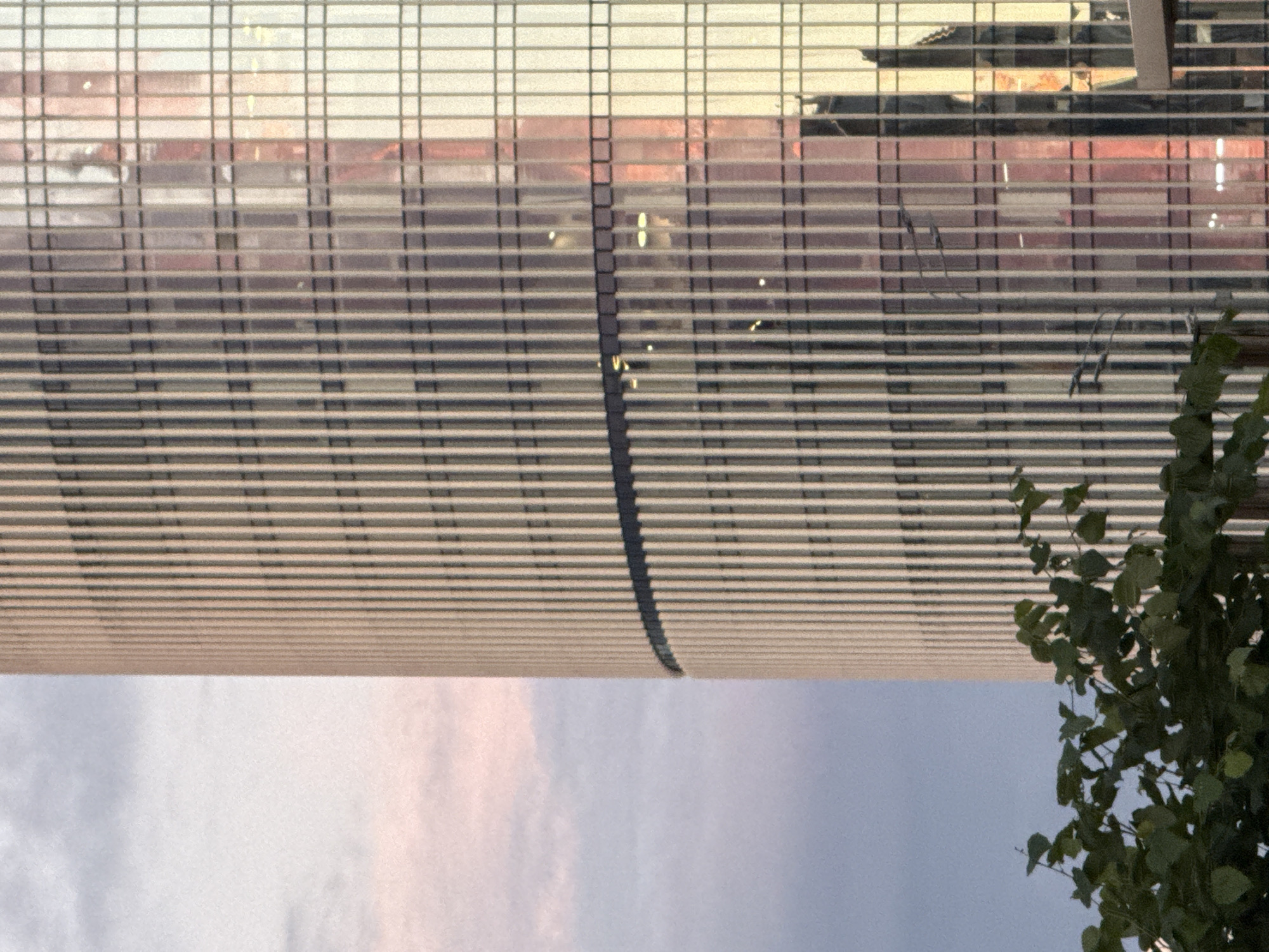 The image shows a close-up of a modern skyscraper in Moscow, Russia. The building has a reflective glass facade with vertical metallic elements. The sky behind the building is a soft blend of pink and blue, suggesting either sunrise or sunset. In the foreground, the tops of lush green trees are visible, partially obscuring the base of the skyscraper. The reflections on the building's windows show hints of other structures and possibly the sky's colors. There are no visible people or specific actions taking place.