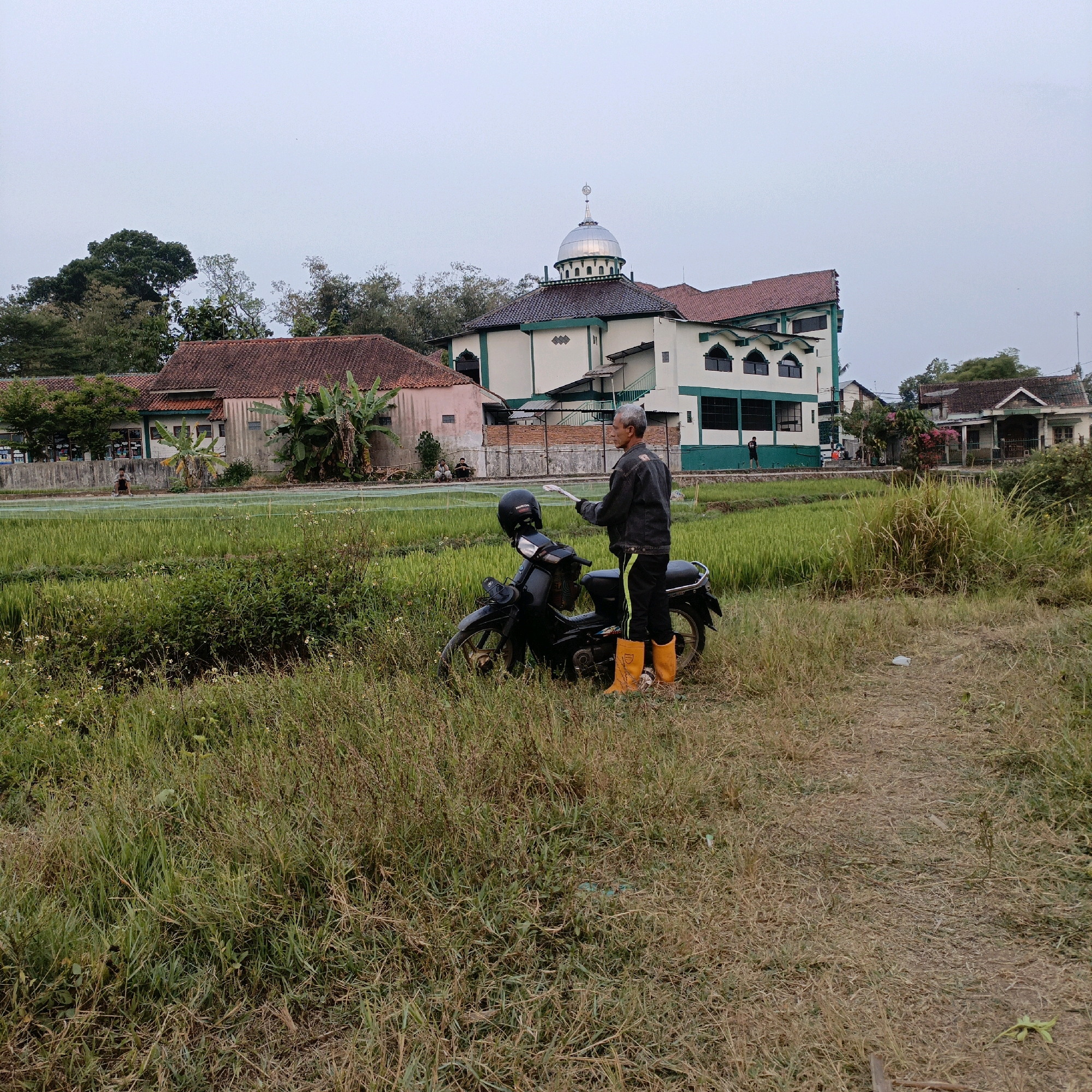 Memory