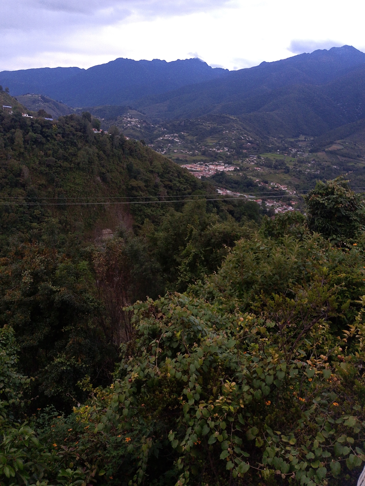 A panoramic shot displays a lush, mountainous landscape under a cloudy sky. The scene is dominated by a valley filled with green foliage, sloping hills, and a small town nestled in the distance. Dark blue mountains form the backdrop. A thick growth of trees and bushes, with hints of yellow flowers, occupies the foreground. A pair of power lines stretch across the middle ground, connecting the mountainside to the town. This landscape could be the city of Mérida, Venezuela.