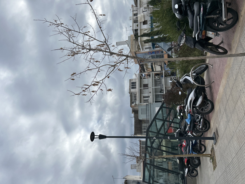 The image, presented in a portrait orientation, captures an urban streetscape under an overcast sky. The left half of the frame is dominated by a dense, grey cloudy sky. On the right, a street or pavement area unfolds vertically, bordered by buildings and parked vehicles.
A prominent feature in the mid-ground is a bare-branched tree with a few scattered dry leaves, suggesting autumn or winter. Its trunk is rooted near the right edge of the pavement, and its branches stretch across the sky towards the upper left. A tall, dark lamppost with a distinctive round light fixture stands to the right of the tree.
Several motorcycles and scooters are parked along the right side of the pavement. These include various models and colors, with some having helmets resting on them. A dark scooter features a partially visible license plate displaying "CG 356". A lighter-colored scooter is secured to a circular metal bike rack.
In the background, multiple multi-story buildings line the street, showcasing balconies, air conditioning units, and some general wear. Below some of these structures, a modern glass and metal shelter or building entrance is visible. The pavement consists of light-colored, patterned tiles.
There are no people visible in the scene. The weather is characterized by heavy cloud cover, indicating a non-sunny day. The setting appears to be a typical urban environment in Nikea, Greece, as indicated by the context.