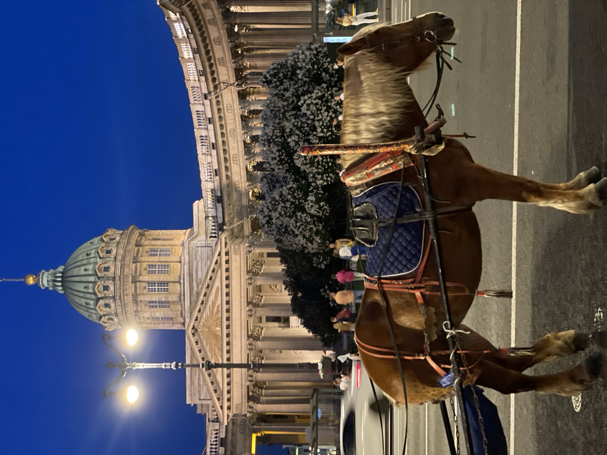 An evening street scene in Saint Petersburg, Russia, features a brown horse with a blonde mane and tail, equipped with a blue quilted saddle pad and red-orange harness, standing on an asphalt road in the foreground, facing right. The horse is positioned in front of the Kazan Cathedral (Kazansky Sobor), identifiable by its large green dome, classical columns, and prominent pediment. To the right of the main cathedral structure, a curved colonnade section is visible. The sky is dark blue, indicating twilight or night. A street lamp with two illuminated globes stands to the left, partially obscuring the cathedral's facade. Behind the horse and in front of the cathedral's colonnade, a cluster of trees with white blossoms or light foliage is present. Several pedestrians are visible on the sidewalk in the mid-ground, and a blurred white car is in motion on the left side of the road, suggesting vehicular traffic. White lane markings are discernible on the asphalt. Artificial lighting illuminates the cathedral and the street, contrasting with the dark sky.