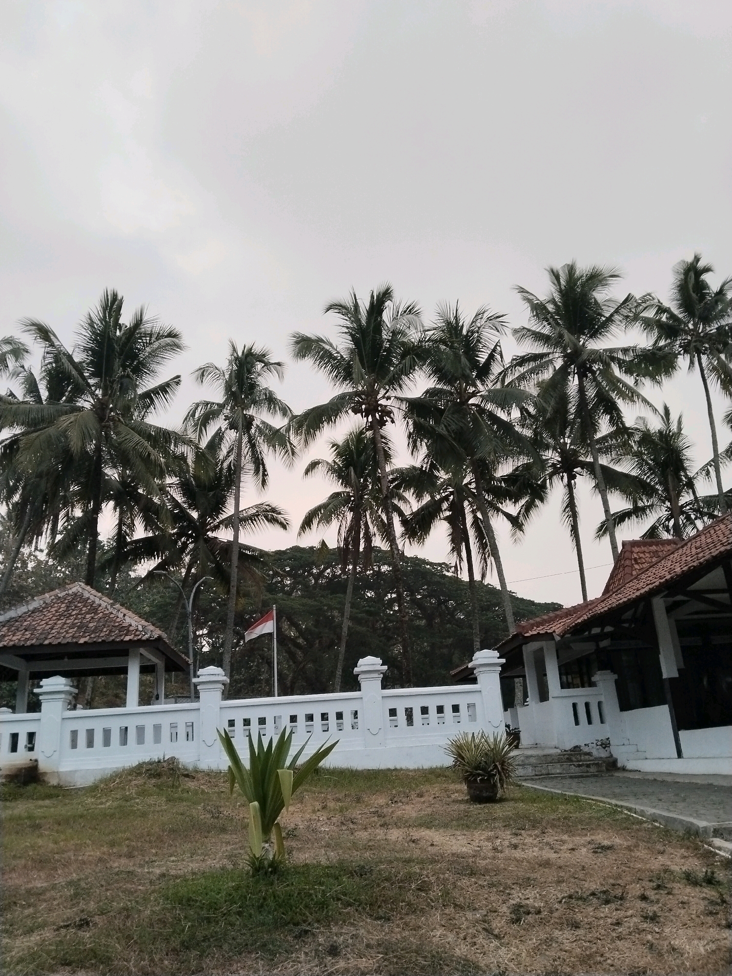 The image depicts a view of a white fence with decorative pillars, a small open-air pavilion with a red-tiled roof, and a building with a similar roof structure on the right. Several tall coconut trees with lush green fronds are prominent in the background, reaching towards a pale, overcast sky. The Indonesian flag is visible flying from a flagpole behind the fence. The ground in the foreground is covered with dry grass and a small green plant. The scene appears to be an outdoor area, possibly a park or a resort, in Sangkanjaya, Indonesia.