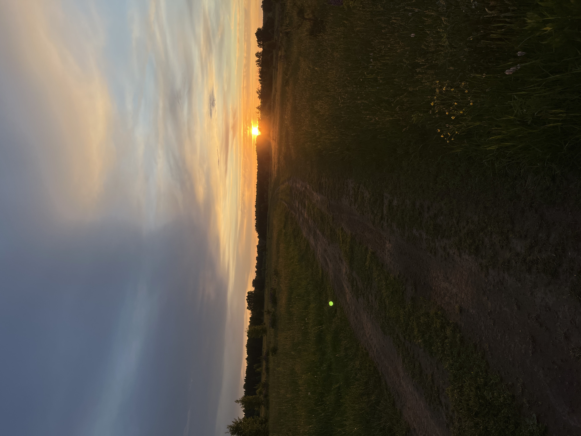 The image shows a landscape with a dirt road running through a field of grass. In the distance, the sun is setting, casting a warm glow over the scene. The sky is filled with clouds, ranging in color from dark blue to orange. Trees are visible along the horizon. A single green dot appears to be present near the bottom center. The scene is located in Новочувашский, Russia.