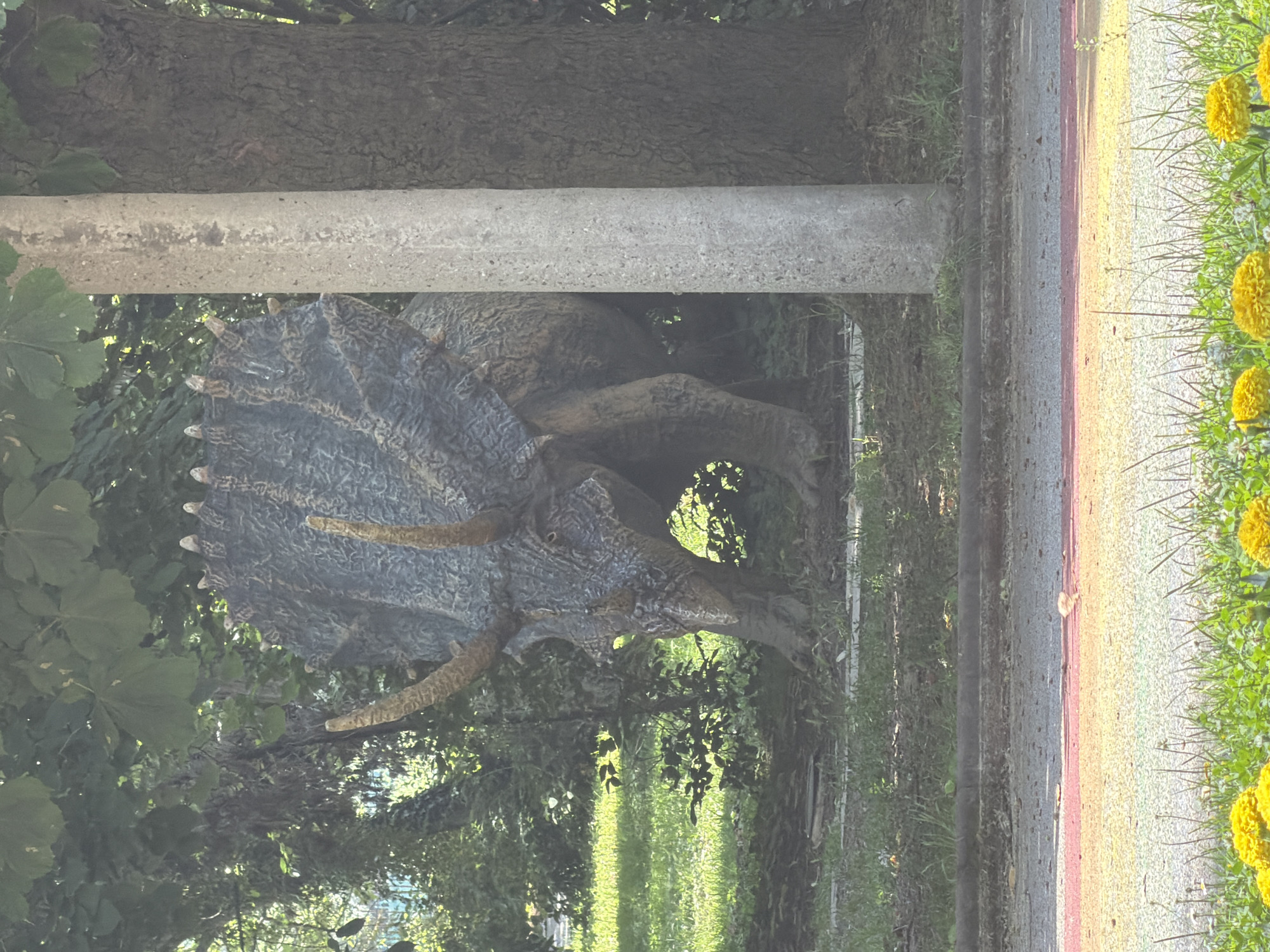 A large, dark grey-brown statue of a Triceratops dinosaur is centrally positioned in an outdoor setting, likely a park or recreational area in Pazardzhik, Bulgaria. The statue is detailed with textured skin, prominent horns, and a spiked frill, and its head is angled downwards and slightly to the left from the viewer's perspective. Dense green foliage, including trees and bushes, forms the background and partially surrounds the statue. A vertical, light grey concrete utility pole stands on the right side, partially obscuring the dinosaur's right side. Behind the pole, the dark, textured bark of a large tree trunk is visible. In the foreground, a strip of bright yellow flowers and green grass lines the bottom edge of the image. Above this, a multi-colored paved path, displaying distinct bands of red, orange, and yellow, stretches horizontally across the frame. An asphalt or dirt road edge is visible directly above the colorful path. Sunlight filters through the overhead foliage, creating dappled lighting across the scene. No human figures or discernible actions are present.