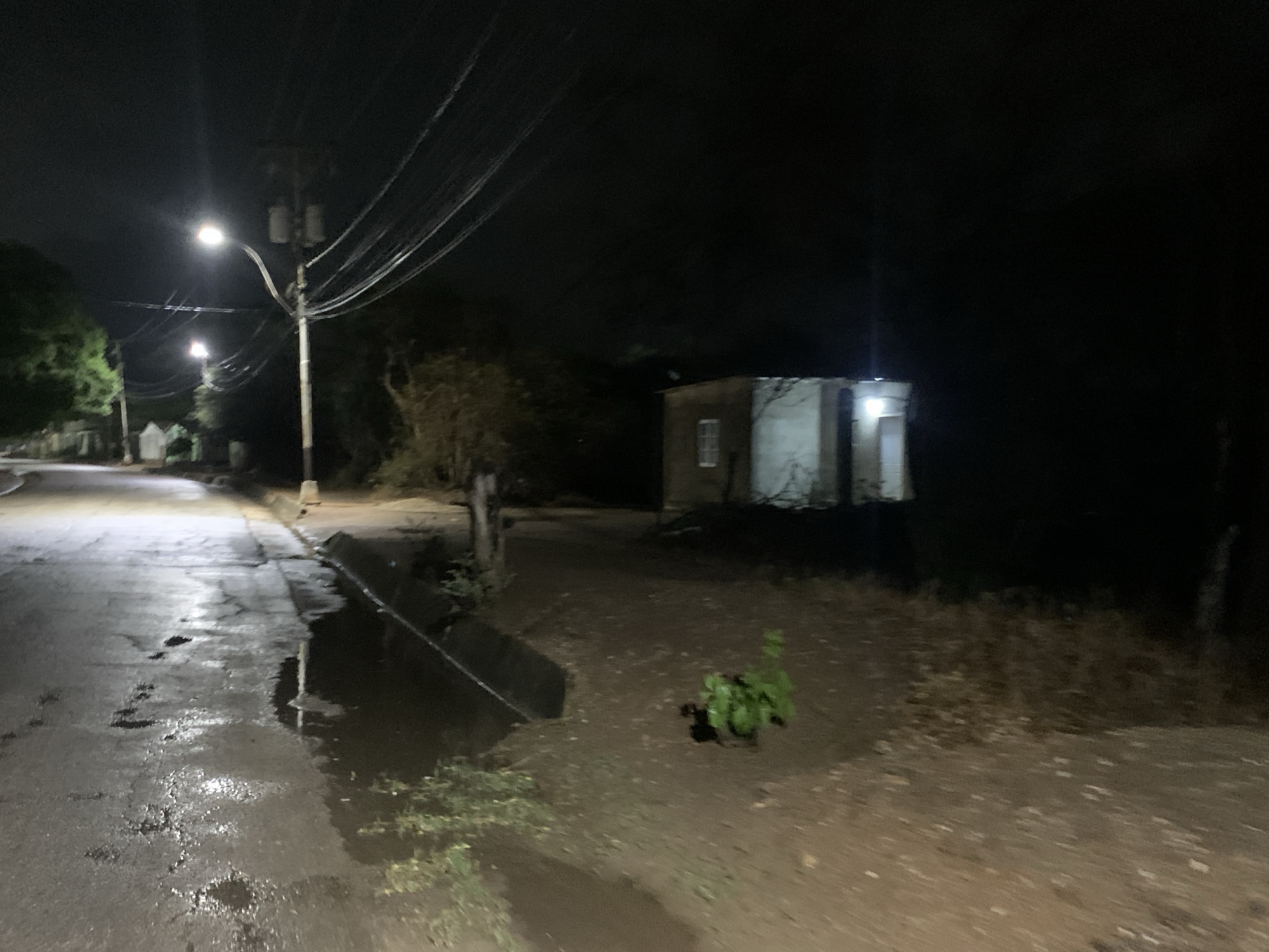 This nighttime image, captured in Altagracia, Venezuela, depicts a semi-urban or rural street scene following recent precipitation. A wet, degraded asphalt road with numerous puddles and cracks occupies the left foreground, bordered by a concrete curb and an adjacent drainage channel. Multiple utility poles support overhead power lines that traverse the upper portion of the scene. At least two active streetlights, mounted on these poles, emit bright white light, creating reflections on the wet road surface. On the right side, an unpaved dirt path extends into the mid-ground, featuring a prominent clump of green leafy vegetation in the foreground. Further back on the right, a small, light-colored building, possibly constructed of concrete or stucco, with a single visible window and an illuminated doorway area, stands partially obscured by dense vegetation. No individuals or animals are present, and no specific actions or interactions are depicted.