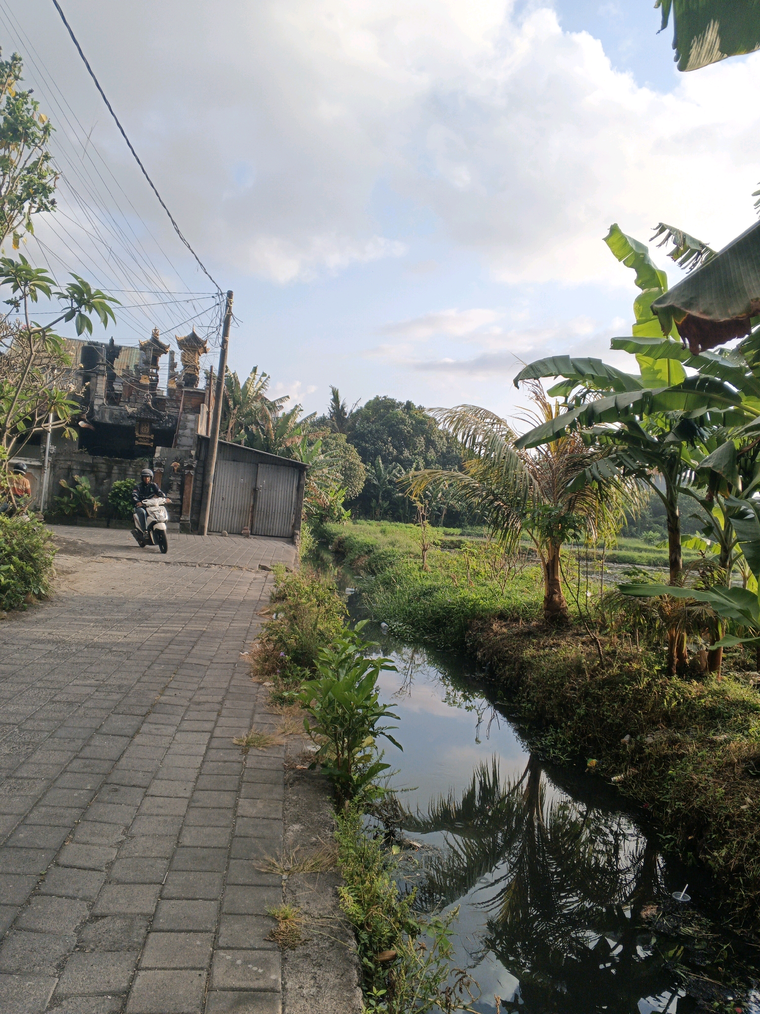 In Denpasar, Indonesia, a paved pathway made of grey interlocking bricks runs alongside a narrow canal. A person on a white scooter rides down the pathway, heading away from the viewer. To the left of the pathway, a stone wall separates it from a building with ornate, multi-tiered roofs and carved details, typical of Balinese architecture. Beyond the building and pathway, a lush landscape unfolds, featuring various trees, including banana trees with large, green leaves, and palm trees. The canal reflects the sky and the surrounding vegetation. The sky is partly cloudy, with a mix of blue sky and white clouds, illuminated by what appears to be late afternoon sun. The environment is characterized by dense tropical vegetation and a sense of rural or semi-rural life within the city.