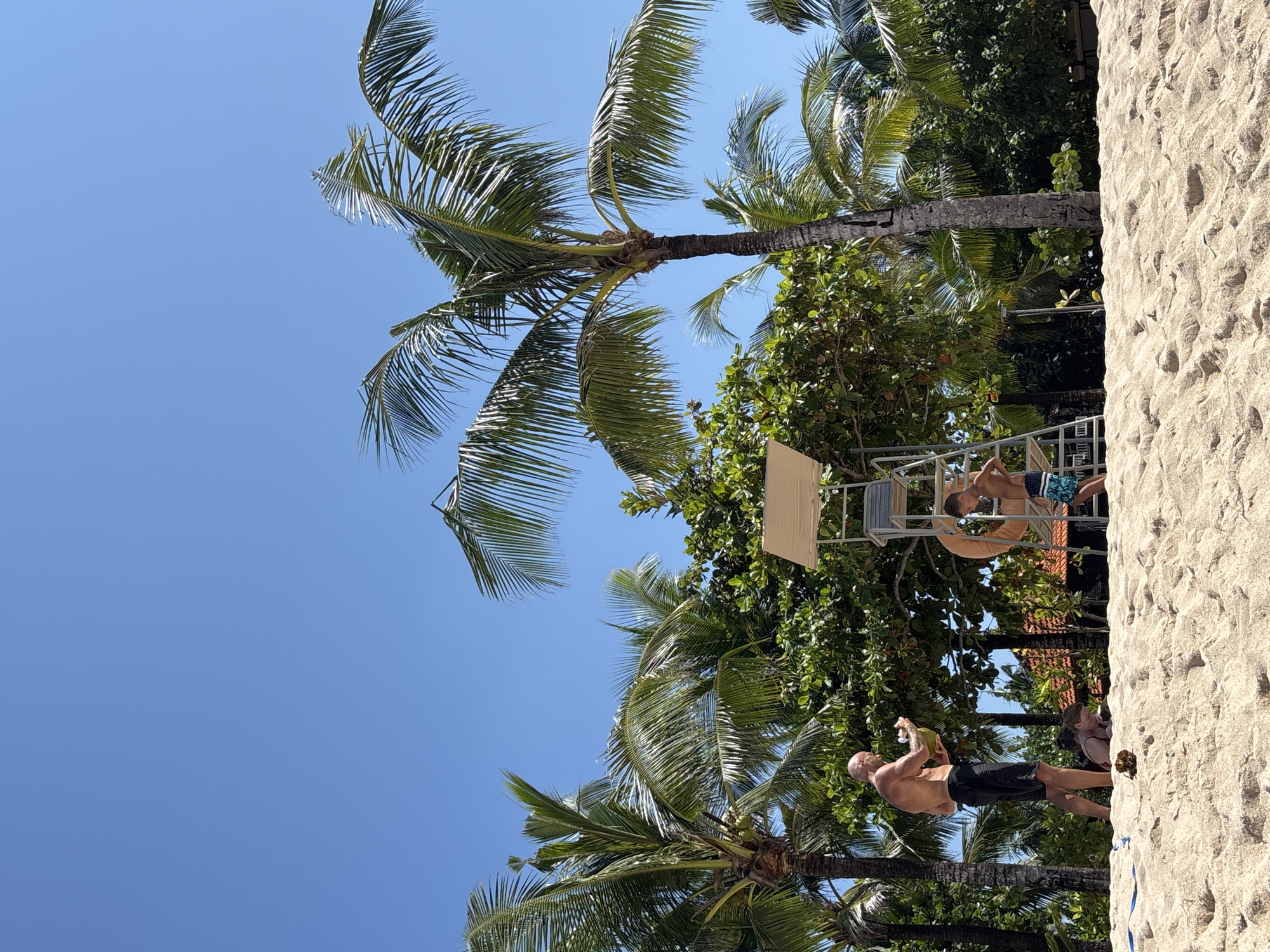 This image captures a vibrant, sunlit tropical scene, likely a beach or resort area in Kuta Selatan, Indonesia. The dominant features include a clear blue sky and numerous palm trees with lush green fronds and brown trunks.
In the foreground, a shirtless man in black swim shorts stands, holding a green coconut from which he appears to be drinking. To his right and slightly elevated, another person, possibly a child or teenager, sits on a tall, metallic lifeguard or umpire-style chair with a cream-colored backrest, wearing blue and white swim shorts. Further back, near the right edge of the frame, another person with long hair is partially visible, appearing to be sitting or lounging in the sandy area.
The right side of the image is dominated by a textured, sandy expanse, indicative of a beach. The background features dense, green tropical foliage and additional palm trees, creating a verdant environment. The bright, clear blue sky and strong sunlight suggest a clear day, likely around midday or early afternoon. The overall atmosphere is one of relaxation and leisure in a warm, tropical setting. No visible text is present in the image.