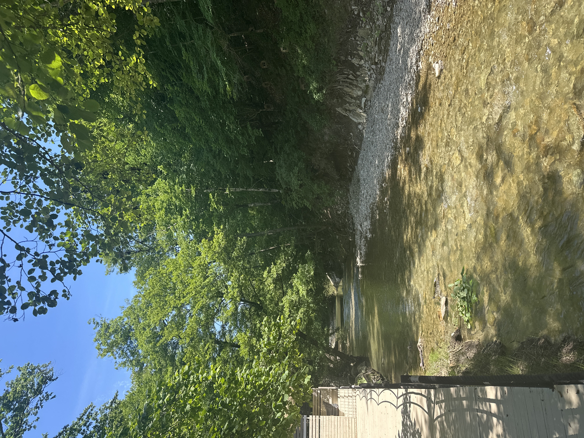 The image shows a natural scene with a clear, shallow stream flowing through a wooded area. The water is clear, with visible pebbles on the stream bed, and reflects the sunlight, creating dappled patterns on the surface. Dense green foliage from trees lines the left bank of the stream, with some branches reaching out over the water. The right bank is composed of rocky, gravelly terrain. In the foreground, a wooden deck or boardwalk with a railing is visible, suggesting a man-made path or viewing area within the natural setting. The overall impression is one of a peaceful, sun-drenched day in a verdant, natural environment. The lighting suggests it is daytime, likely late morning or early afternoon, with bright sunlight casting shadows. There is no visible text.