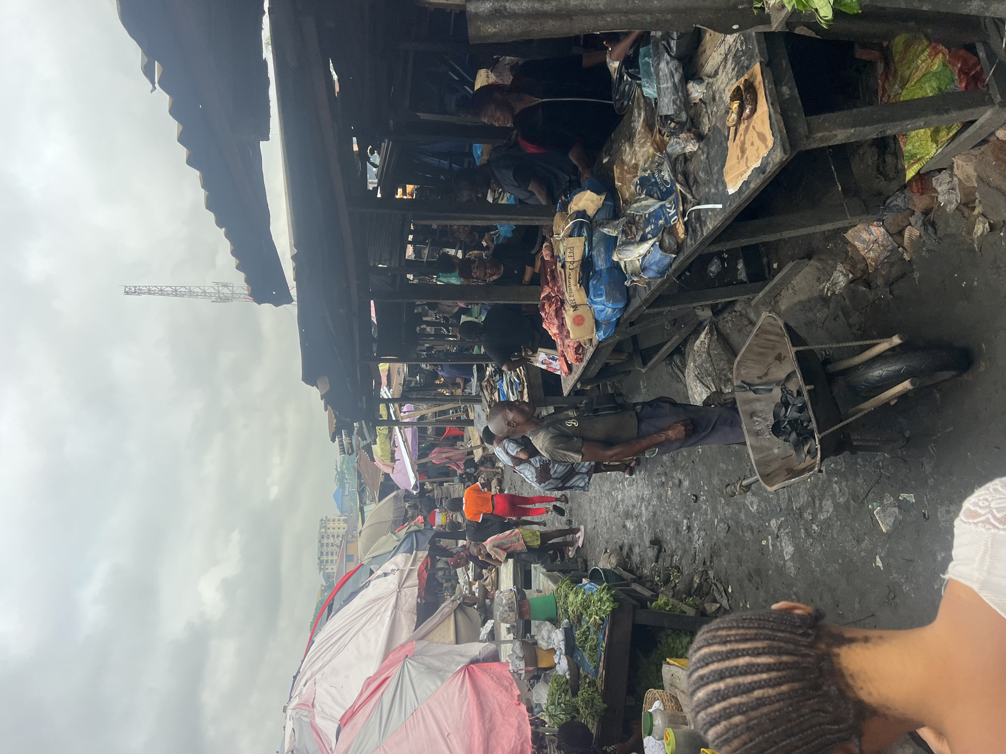The image depicts a busy outdoor market in Nkpor, Nigeria, under an overcast sky. The market appears crowded with numerous stalls and shoppers. In the foreground, a person with braided hair is seen from behind, wearing a white top. To the left, several market stalls are covered with colorful tarps, displaying goods such as leafy green vegetables and jars. In the center and right of the image, more stalls are visible, some with corrugated metal roofs. These stalls appear to be selling meat and fish. Several individuals are engaged in transactions or attending to their stalls. A wheelbarrow filled with black items, possibly tires, is positioned in the mid-ground. The ground is muddy and littered with debris, indicative of a well-used and possibly unsanitary market environment. In the background, buildings and a tall radio tower can be seen, suggesting an urban or semi-urban setting within the city. The overall scene conveys a sense of lively commerce in a bustling African market.