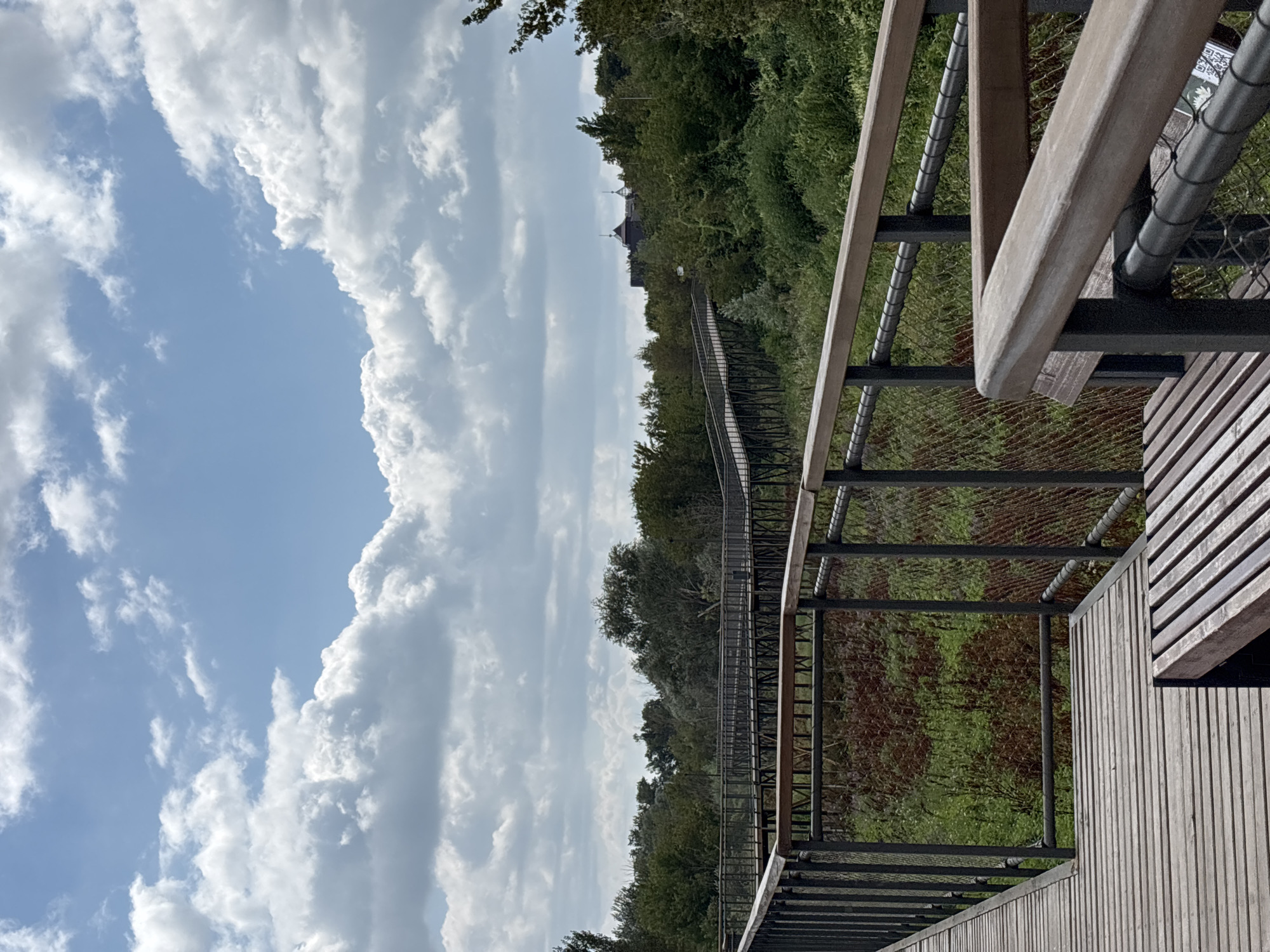 The image shows a wooden boardwalk winding through a natural landscape. The boardwalk, made of light-colored wooden planks, has dark metal railings with a wire mesh infill. In the foreground, a section of the boardwalk features a wooden bench. The ground below the boardwalk appears to be covered in low-lying reddish-brown vegetation interspersed with green. Beyond the boardwalk, a dense forest of trees stretches towards the horizon, with some buildings, including structures with domed roofs, visible in the distance amongst the trees. The sky above is blue with dramatic white cumulus clouds. This scene depicts the Tanais Ecological Path in Orenburg, Russia, a protected natural area.