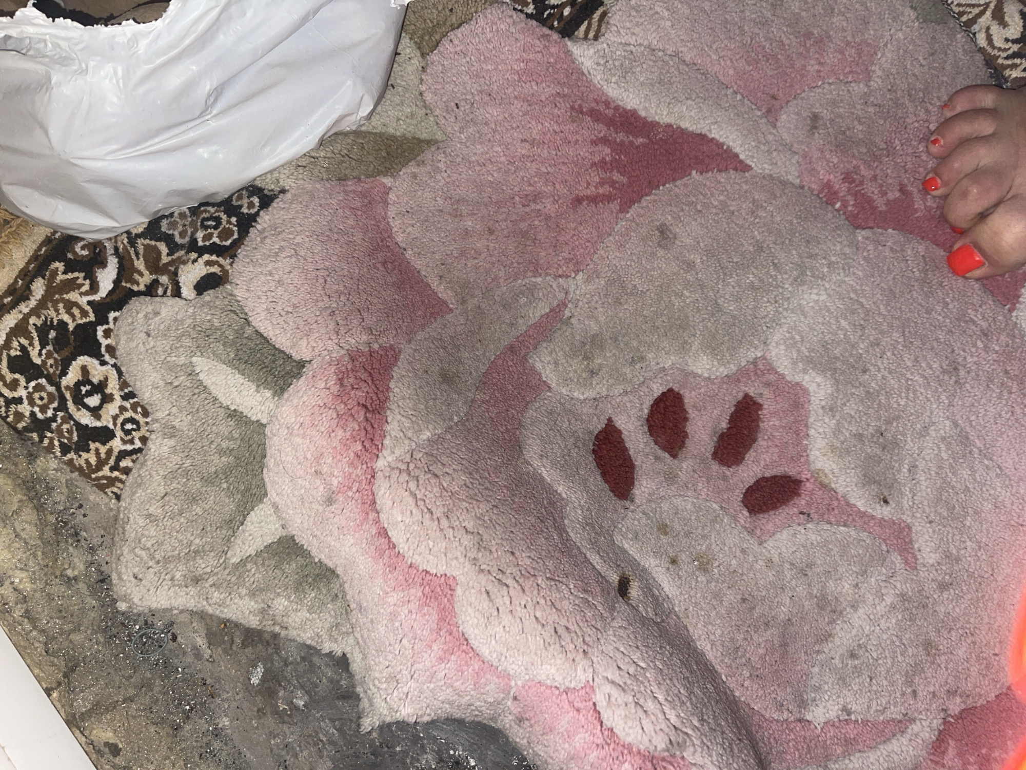 An overhead, medium shot captures a pink and beige floral rug lying on a floor. The rug is textured and appears to be well-worn, with some stains and debris scattered across its surface. To the upper right, a white plastic bag is visible, partially obscuring a patterned carpet. In the foreground, a person's feet with bright red nail polish are resting on the rug. The overall scene suggests a domestic environment, possibly a storage area or a room undergoing cleaning, given the presence of the plastic bag and the general state of the floor. The location is in the city of Poltava, Ukraine.