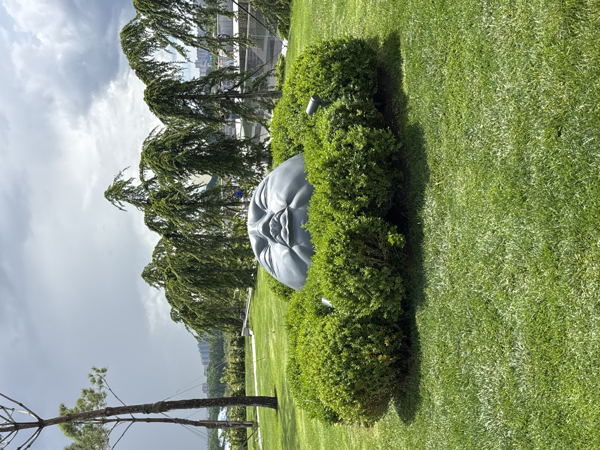 The image depicts a park-like setting with manicured green grass. A large, sculpted gray object resembling a human face or head is partially obscured by a row of trimmed green bushes. Behind the sculpture and bushes are trees with drooping branches. In the background, a cityscape can be faintly seen beneath a cloudy sky. A portion of a building with a railing is also visible, suggesting an elevated viewpoint.
It's not possible to determine the specific location in the city of Krasnodar, Russia, from the given image.