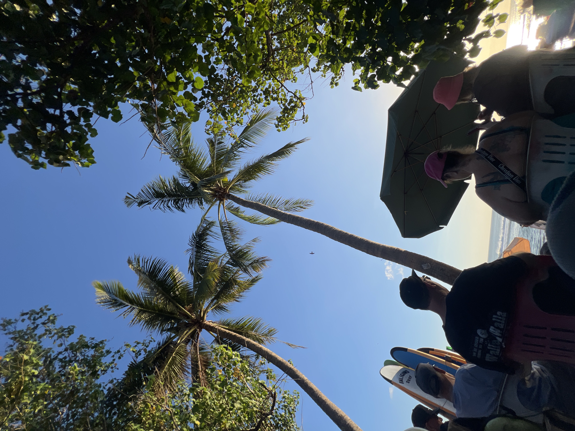 In Kuta, Indonesia, a group of people are gathered on a beach, facing the ocean. Two tall palm trees frame the clear blue sky, with lush green foliage from nearby trees creating a natural canopy. Several surfboards stand upright in the sand to the left, suggesting the proximity to surf spots. In the foreground, several individuals are seated, with some looking towards the water. An open umbrella provides shade for two women in the center, who are also seated and looking out at the ocean, with one holding a mobile phone. The scene appears to be during late afternoon, as the sunlight is casting a warm glow.
