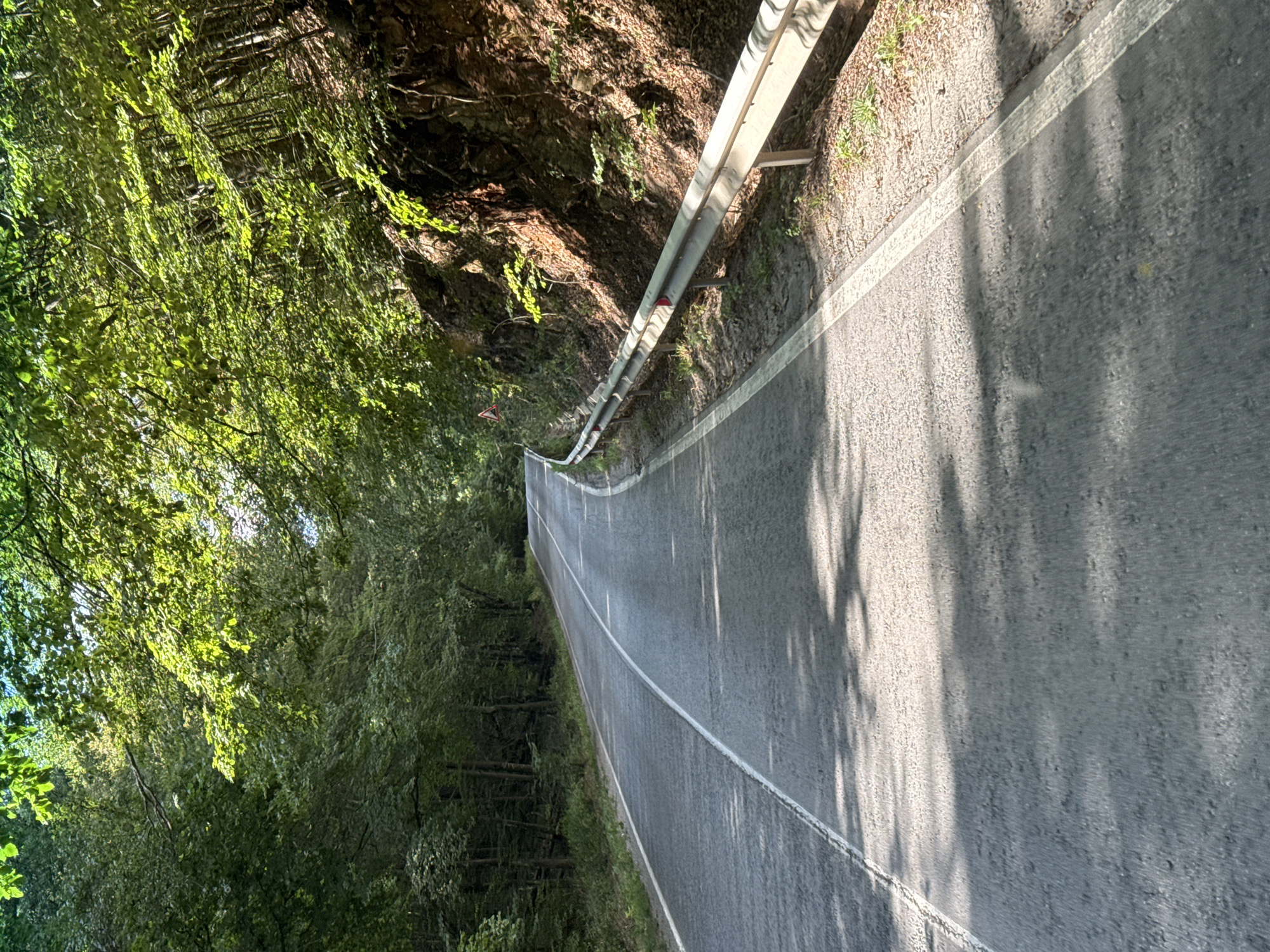 The image shows a paved road winding through a dense forest. Sunlight filters through the thick canopy of green leaves, casting dappled shadows on the asphalt. The road is marked with white lines, indicating lanes of travel. On the right side of the road, a metal guardrail separates the pavement from a steep, rocky embankment covered in vegetation. The forest on the left side of the road is also dense with trees. The scene appears to be a natural landscape, likely a rural road in a mountainous or hilly area. No people or specific landmarks are visible to definitively identify the location as Manastirishte, Bulgaria, although the description of a winding road through a forest with a guardrail is consistent with roads found in such regions.