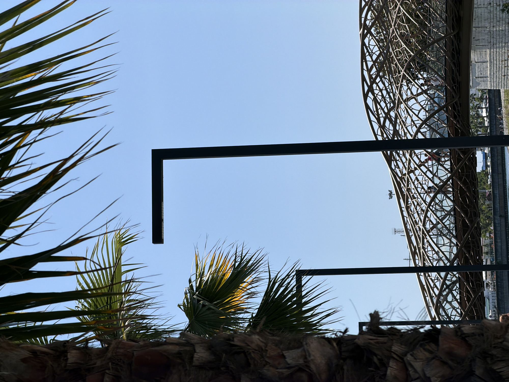 The image captures a sunny day in Sochi, Russia, with a clear blue sky. In the foreground, the textured trunk of a palm tree is visible on the left, with its fronds extending into the upper part of the frame. Two modern, black lampposts are present in the scene; one is a tall, slender vertical post on the right, and the other is a horizontal beam extending from a vertical support towards the left, partially obscured by palm fronds.
In the middle ground, a distinctive, undulating bridge with an intricate, woven metal structure spans across what appears to be a waterway. Several people can be seen walking on this bridge. Below the bridge, a waterfront area is visible with more palm trees and buildings in the background. The overall impression is a vibrant urban landscape with elements of nature and modern architecture.